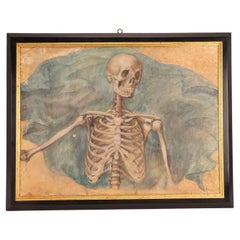 Antique Tempera Drawing on Paper Depicting a Skeleton, France, 1890