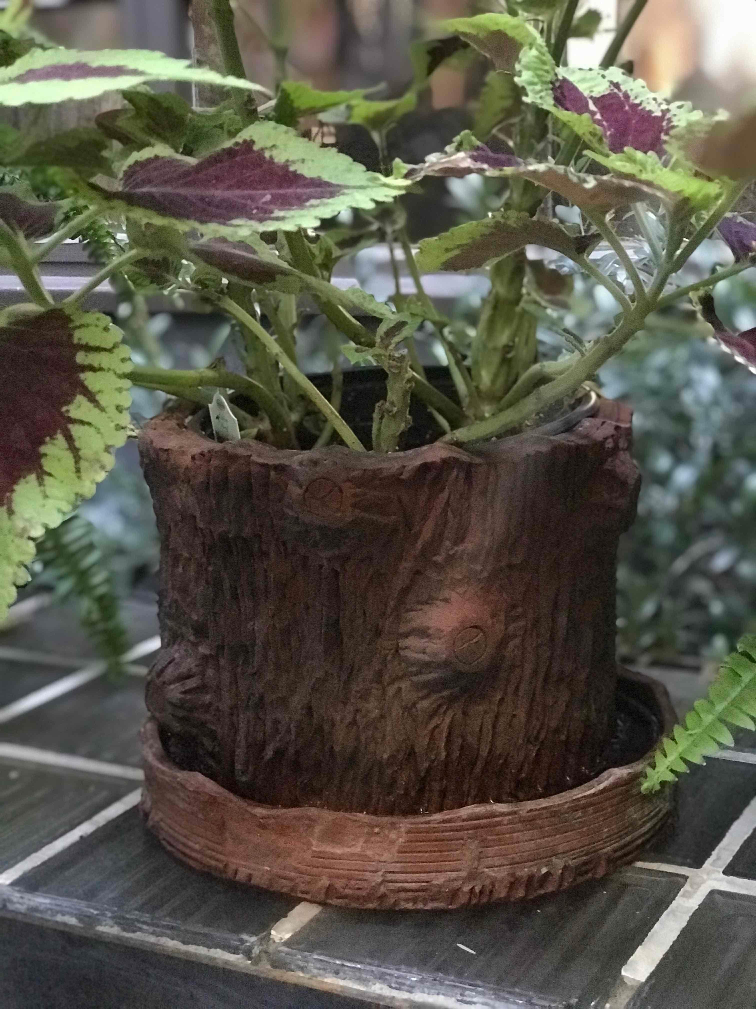 A terra cotta pot in the shape of a tree trunk with decorated bark from Watson's Supermarket in England, circa 1950. 