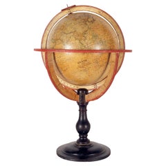 Collezionismo e curiosità