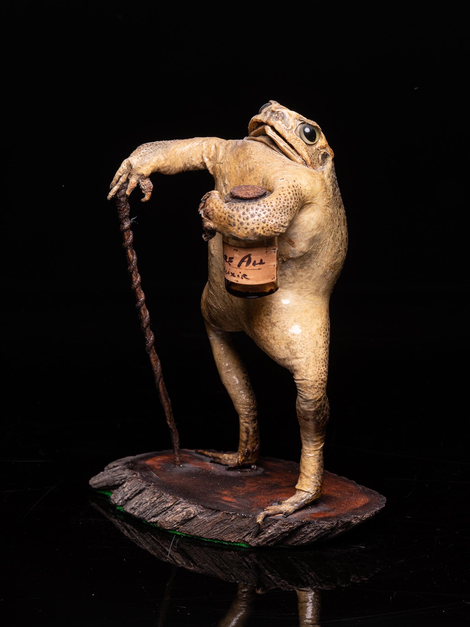 A toad with a walking stick and a little glass bottle of elixir.