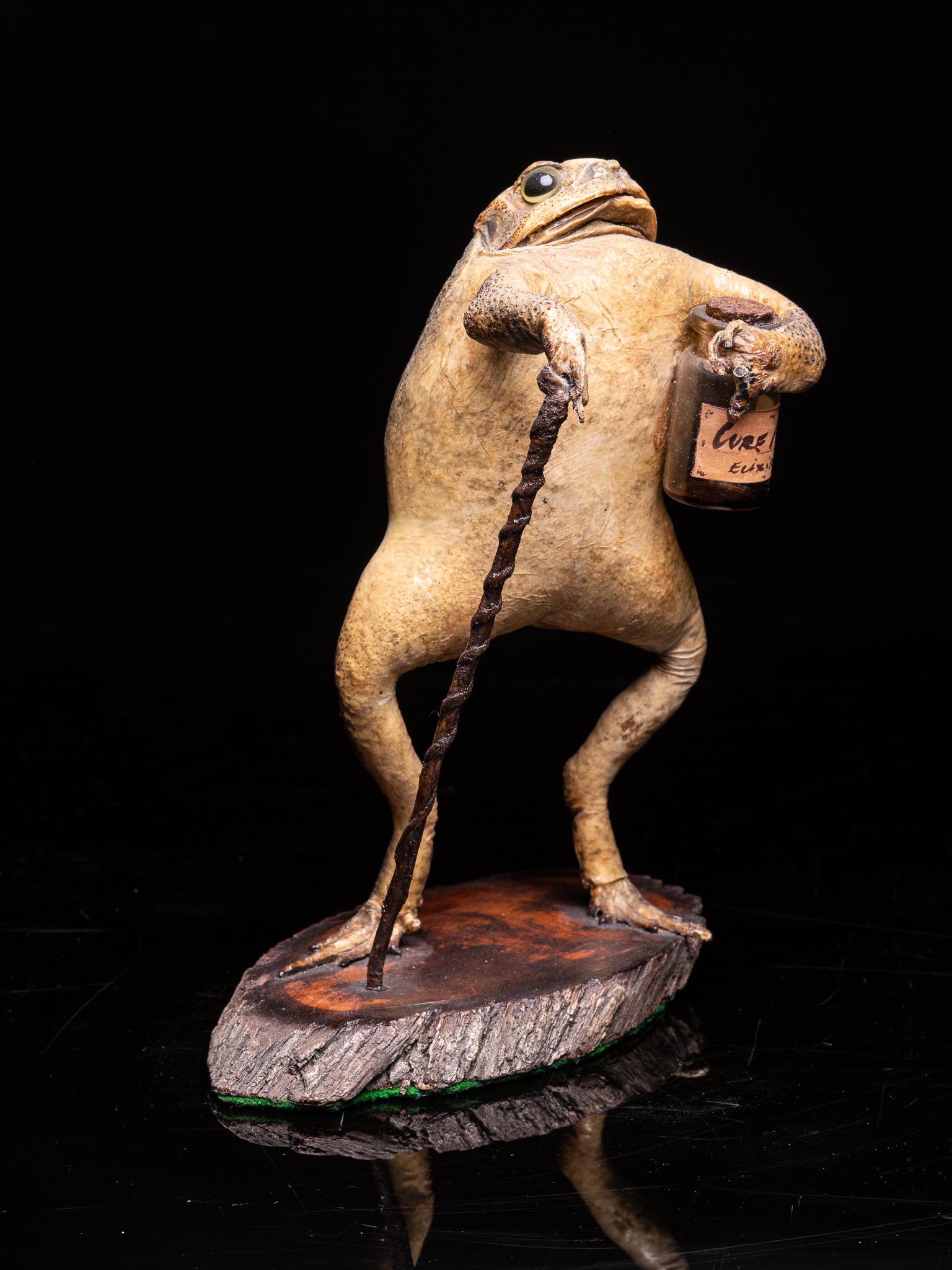 Unknown Toad with a Walking Stick and a Little Glass Bottle of Elixir