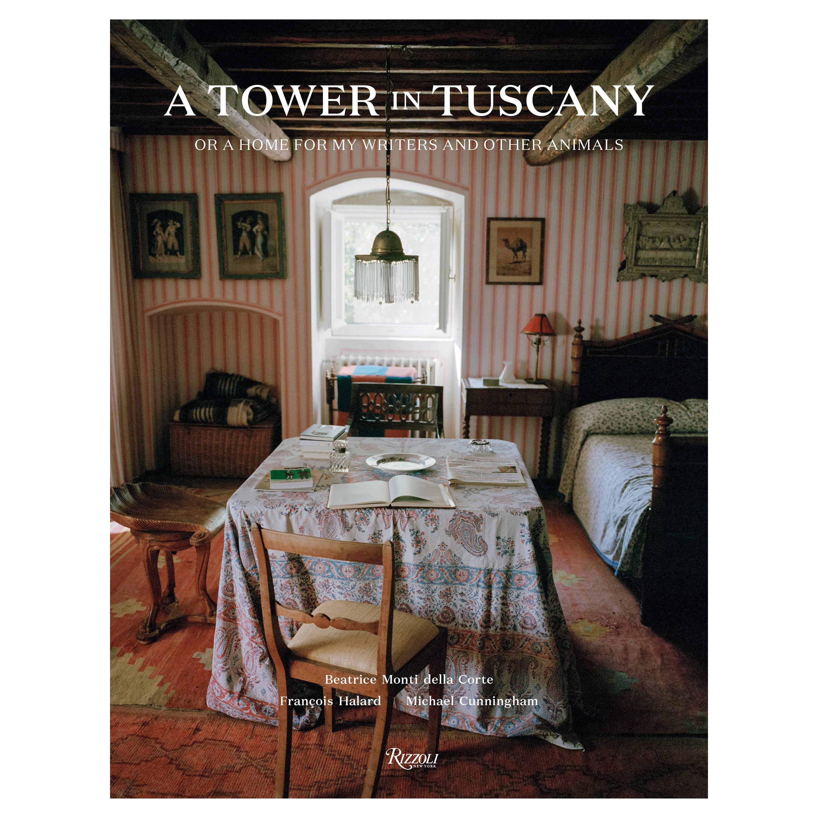 Ein Turm in der Toskana oder ein Zuhause für meine Schriftsteller und andere Tiere