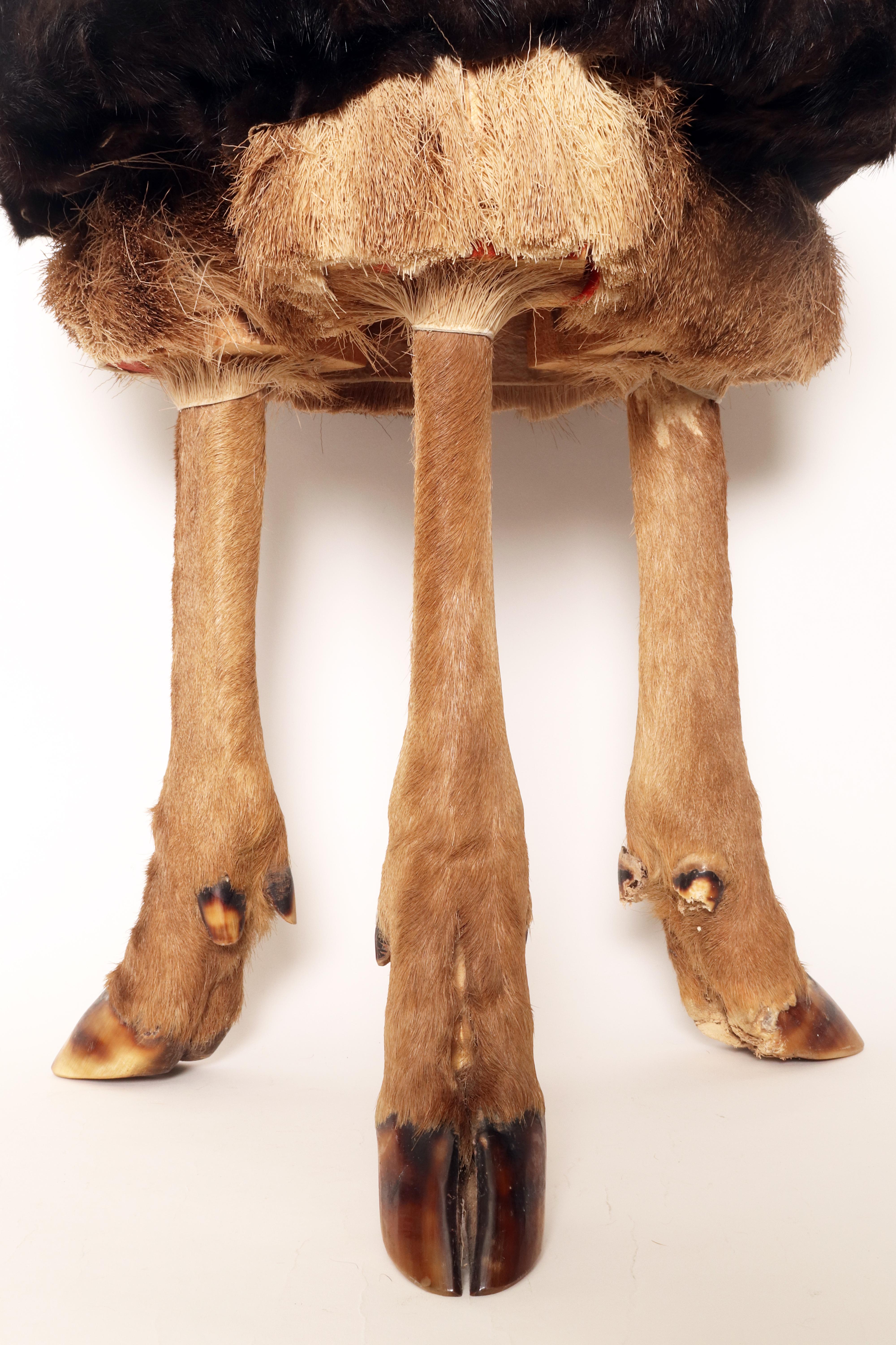 XIXe siècle Un tabouret tripode fabriqué à partir de pieds et de fourrure de cerf, Autriche 1880. en vente