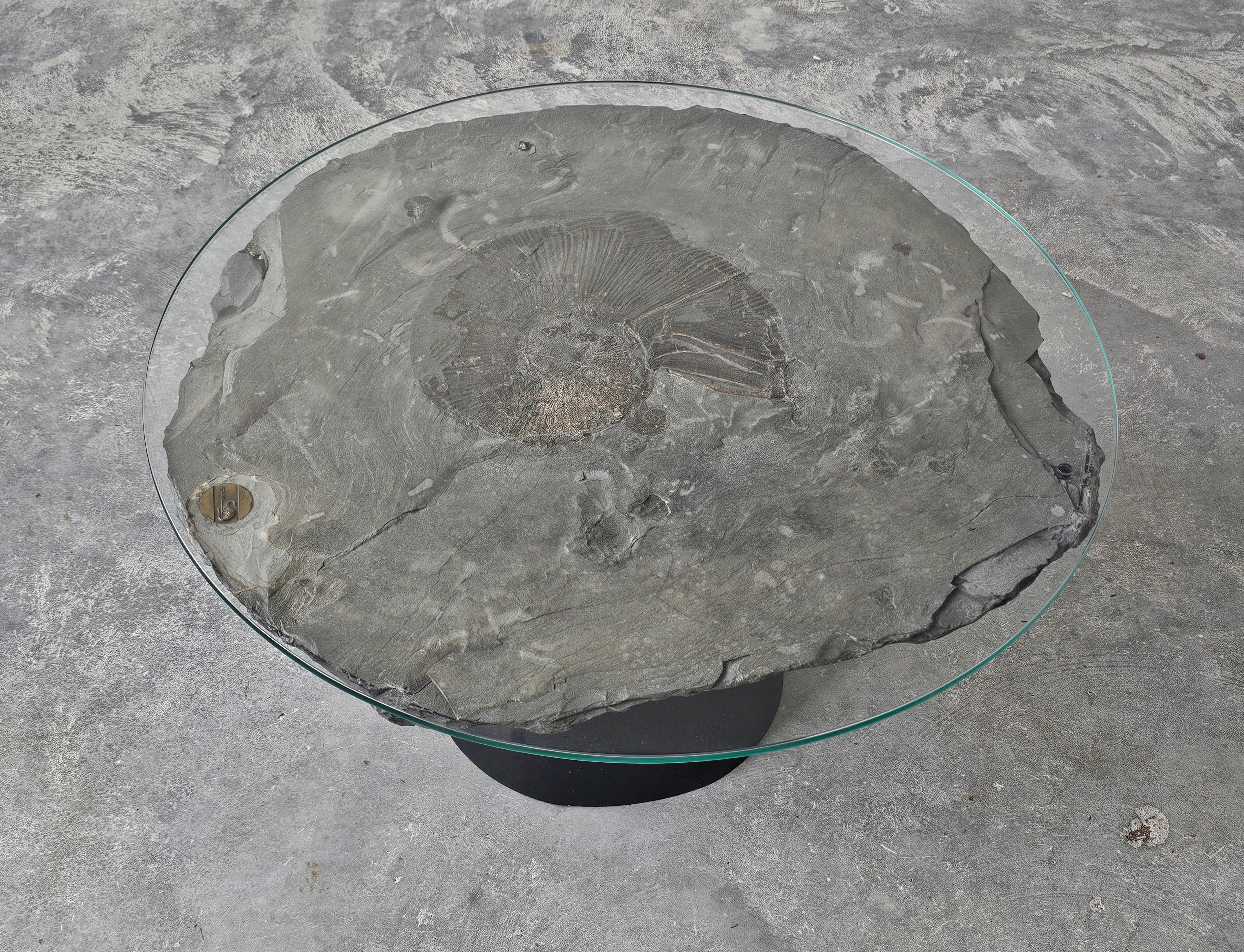 A unique side table done in fossil stone with Ammonite Lytoceras fossil top In Good Condition For Sale In Beograd, RS