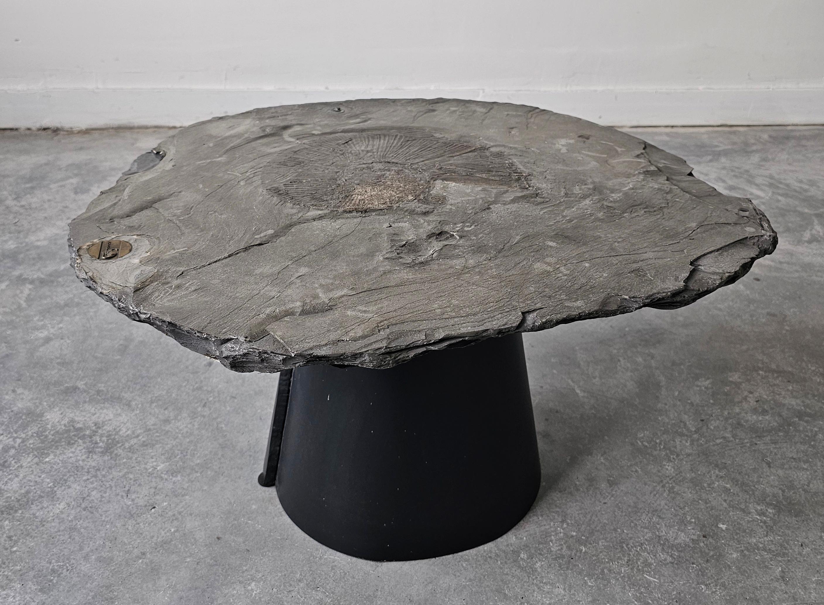 A unique side table done in fossil stone with Ammonite Lytoceras fossil top For Sale 2