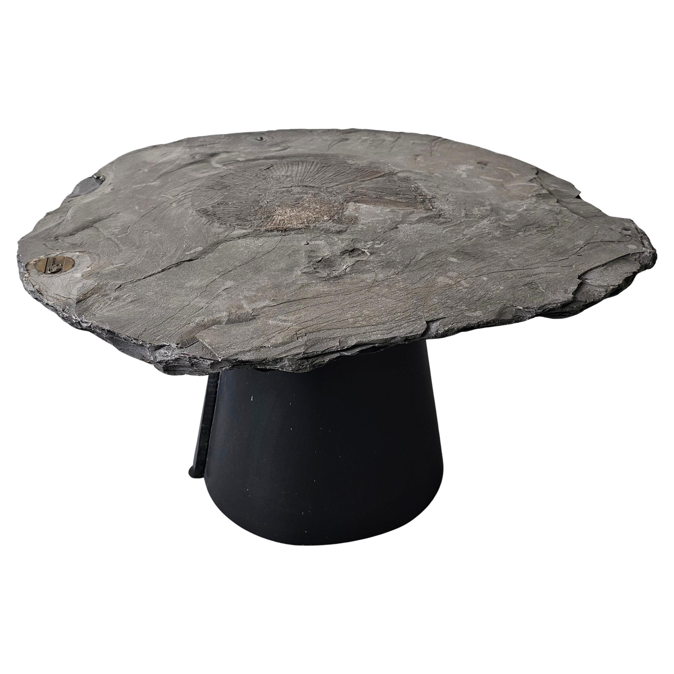 A unique side table done in fossil stone with Ammonite Lytoceras fossil top For Sale