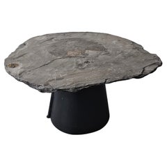 Un tavolino unico in pietra fossile con piano fossile di Ammonite Lytoceras