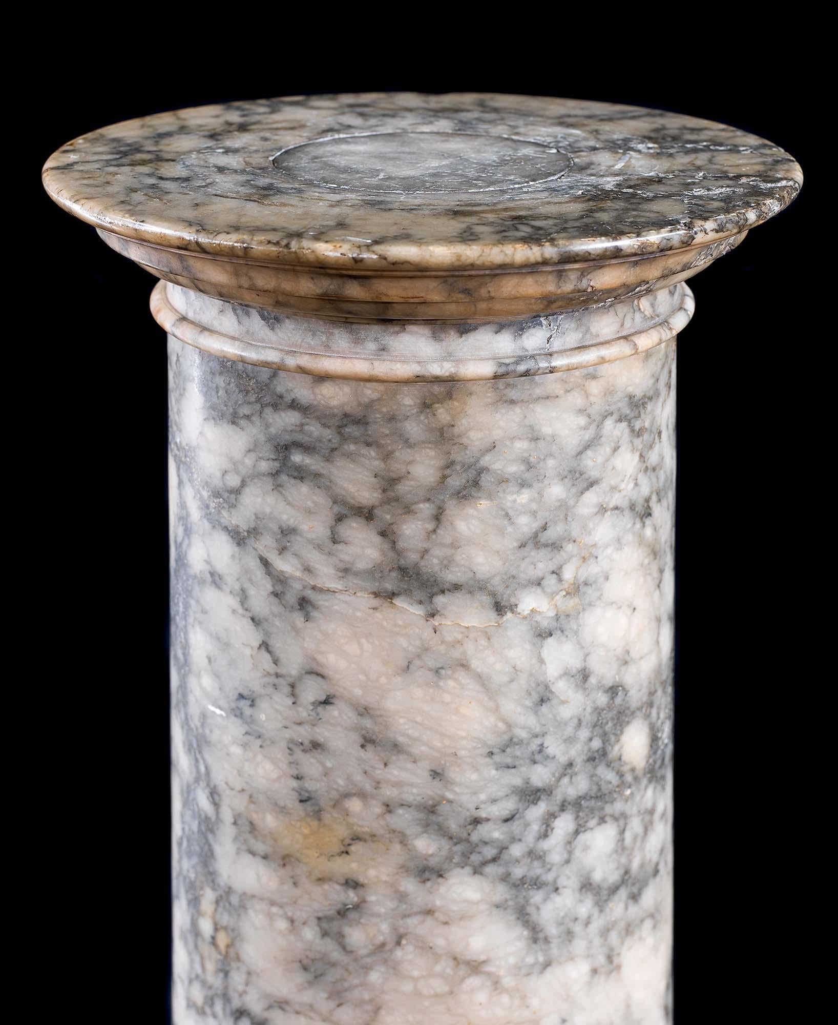 20th Century Variegated Marble Column Pedestal