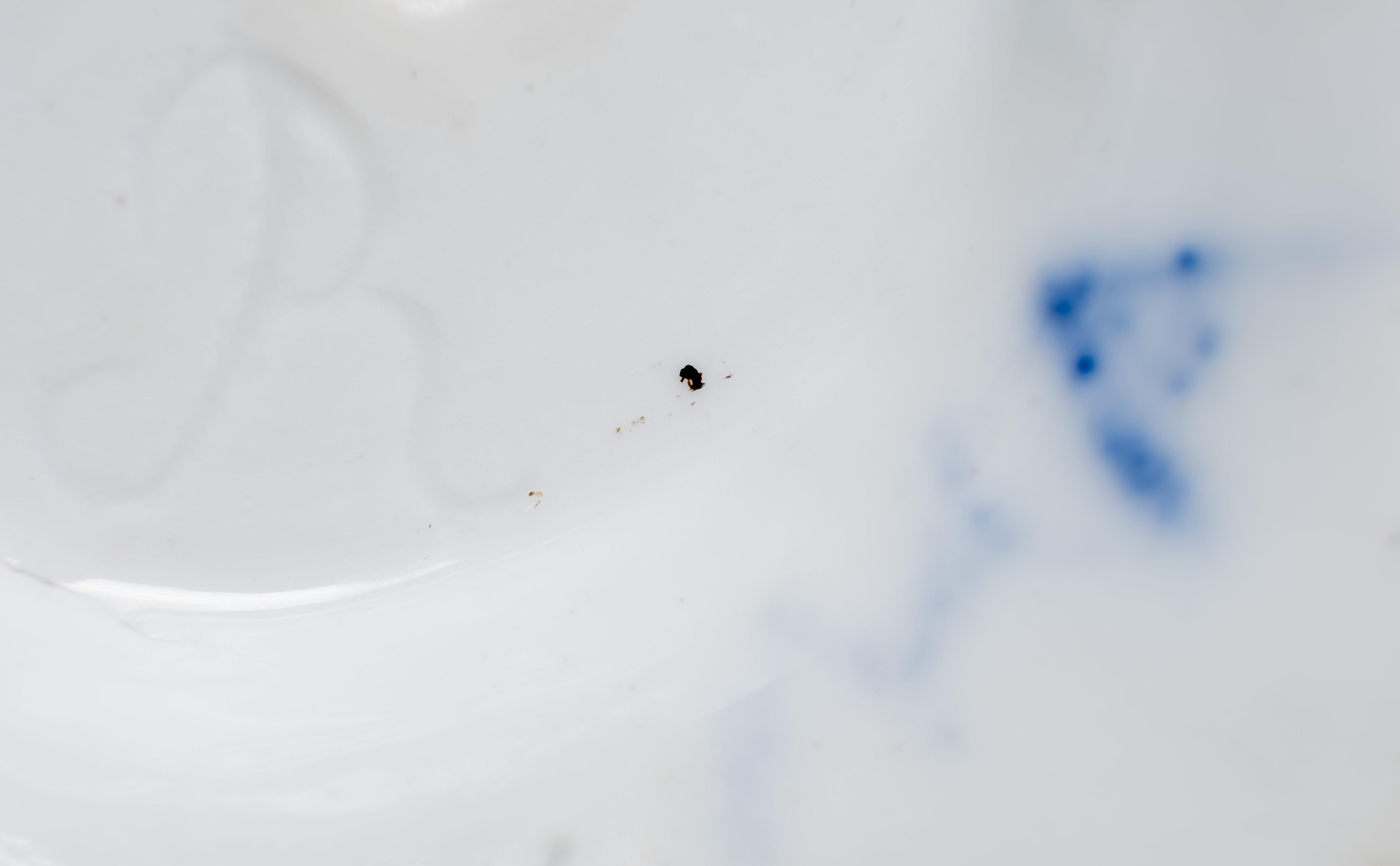 Vase mit sechseckigem Porzellansockel Französisch, 19. Jahrhundert im Angebot 8
