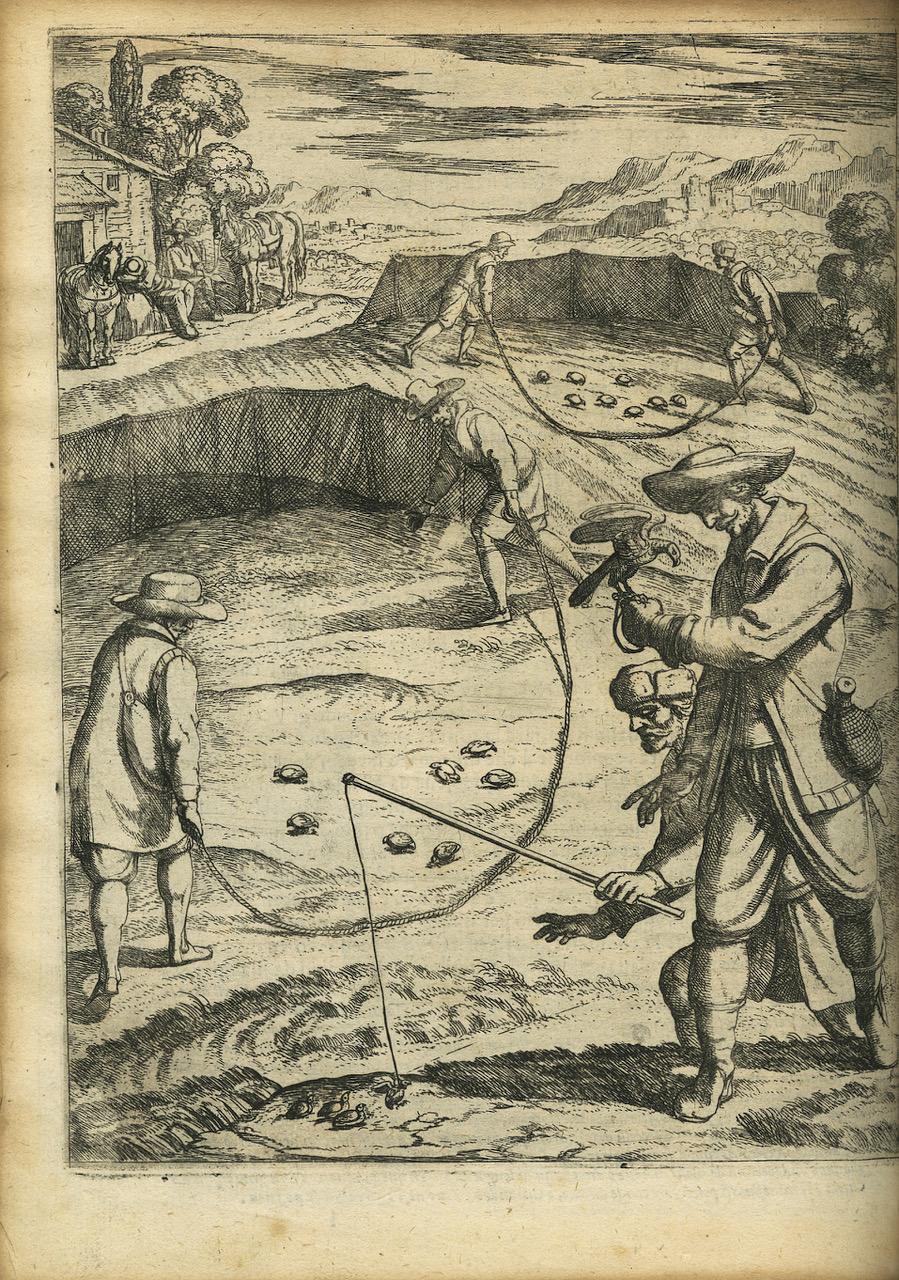 17ème siècle Livre très illustré sur les oiseaux, Giovanni P. Olina : « Uccelliera », 1622 en vente