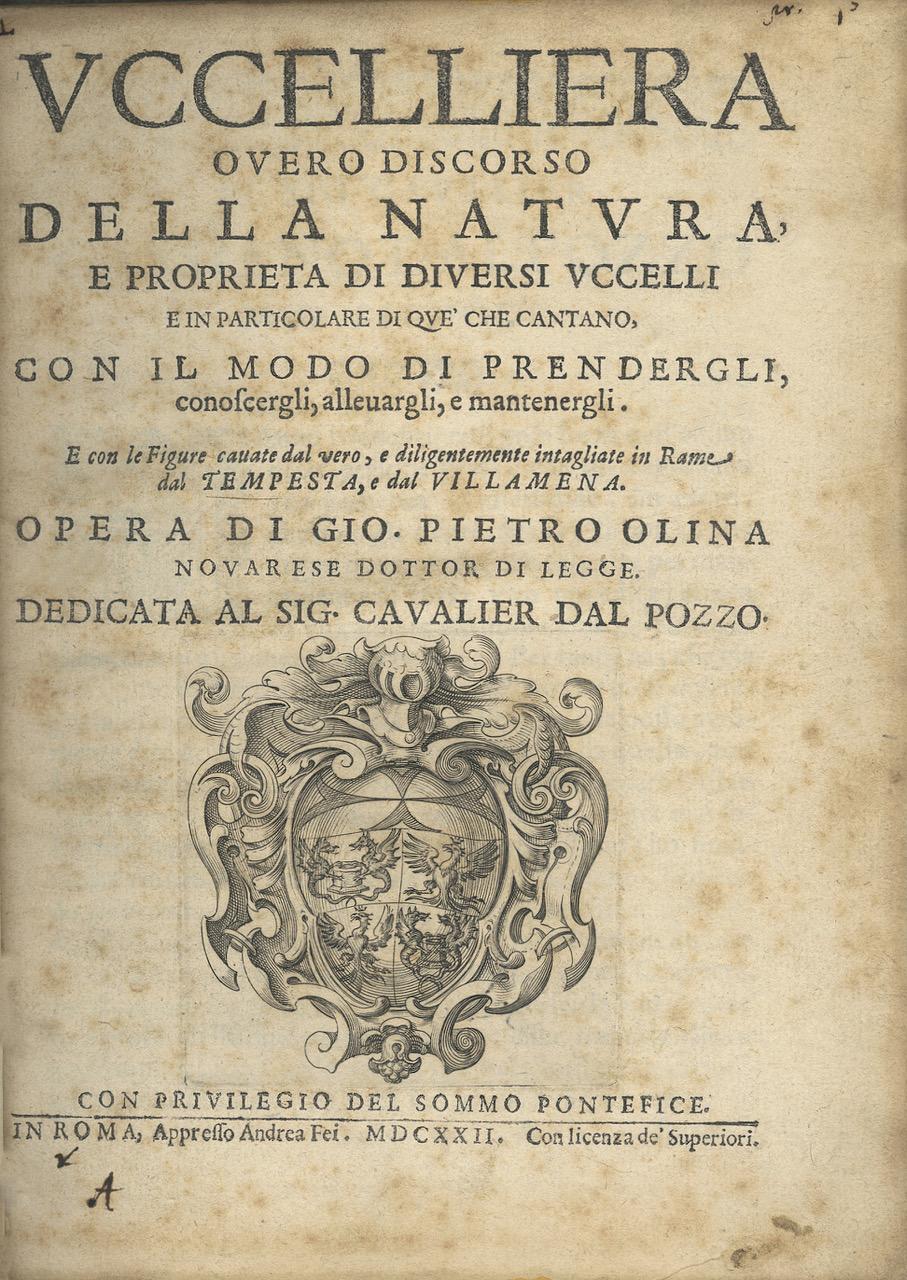 Cuir Livre très illustré sur les oiseaux, Giovanni P. Olina : « Uccelliera », 1622 en vente