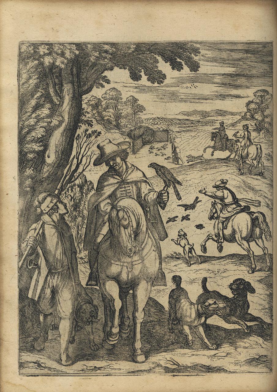Livre très illustré sur les oiseaux, Giovanni P. Olina : « Uccelliera », 1622 en vente 2