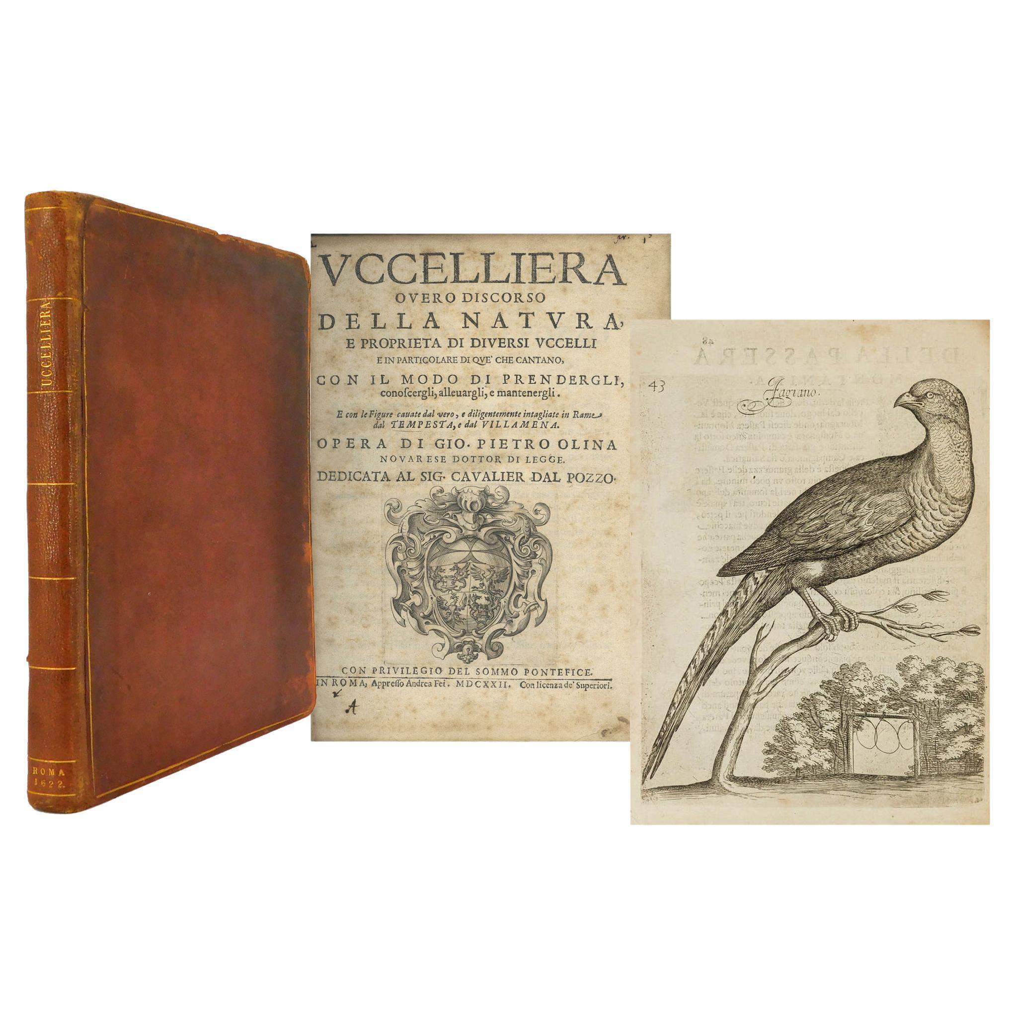 Very Early Illustrated Book on Birds, Giovanni P. Olina: "Uccelliera", 1622 For Sale
