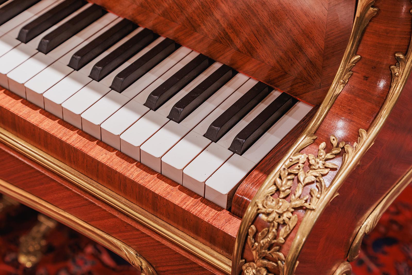 Très beau piano à queue du XIXe siècle de Joseph-Emmanuel Zwiener en vente 4