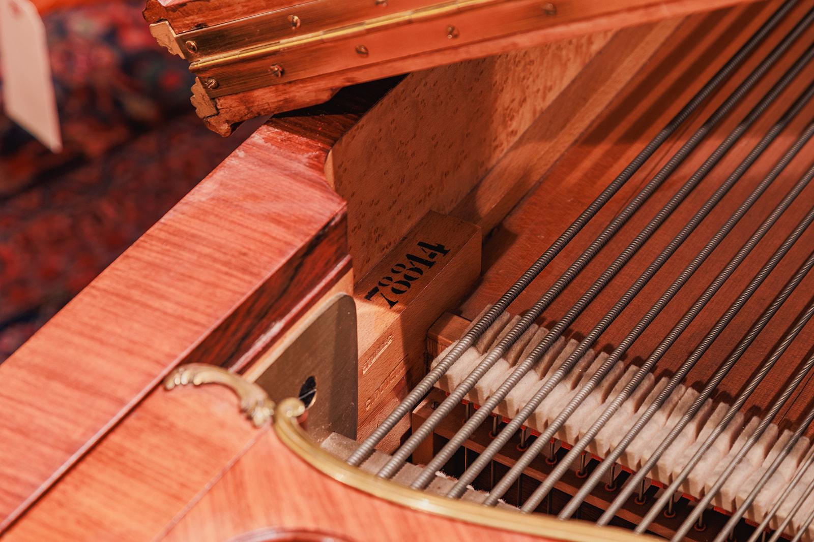 Très beau piano à queue du XIXe siècle de Joseph-Emmanuel Zwiener en vente 6
