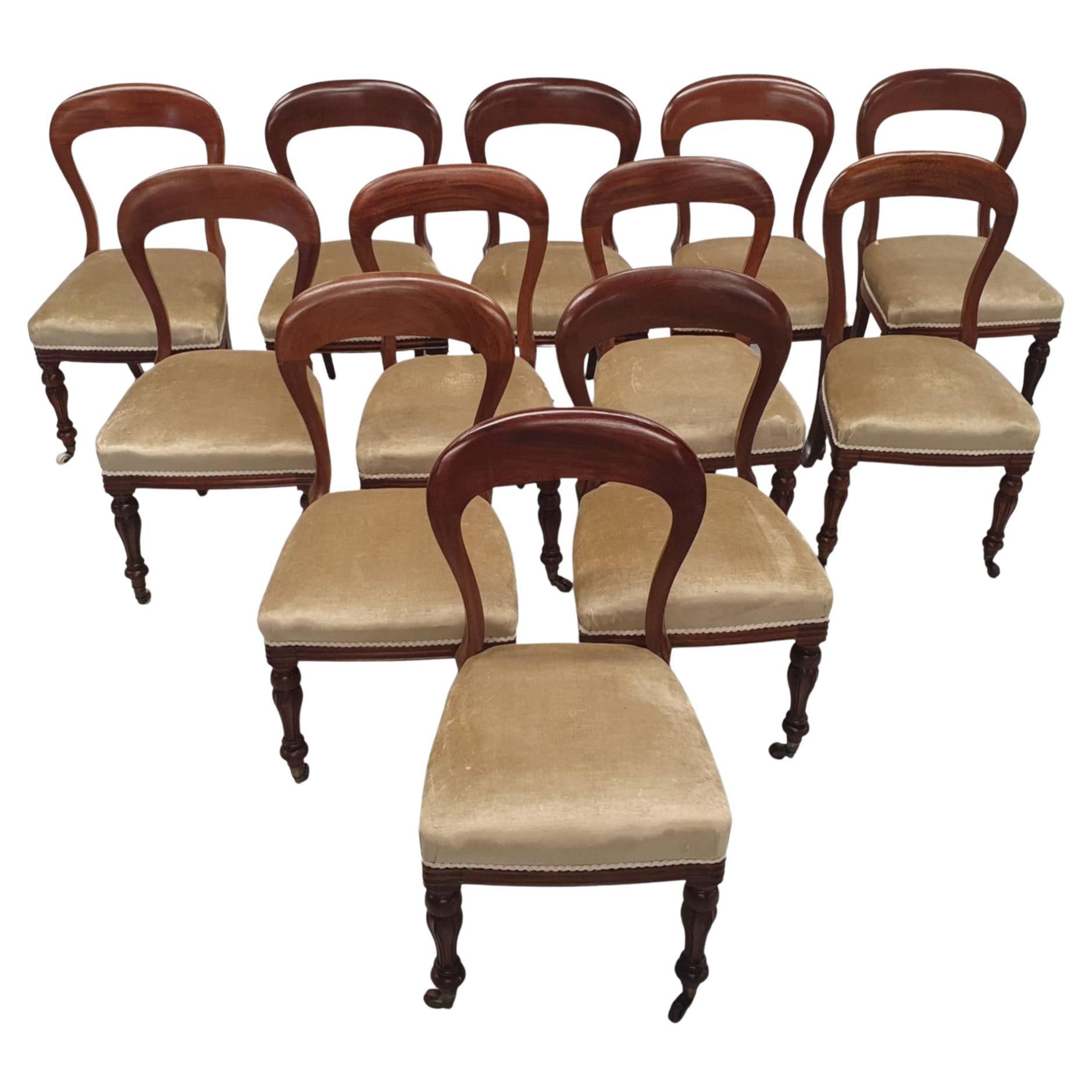 Très bel ensemble irlandais de douze chaises de salle à manger du 19ème siècle par Strahan de Dublin en vente