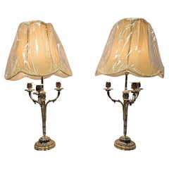 Antique A Very Fine Pair of 19th Century Candelabra Converted to Table Lamps