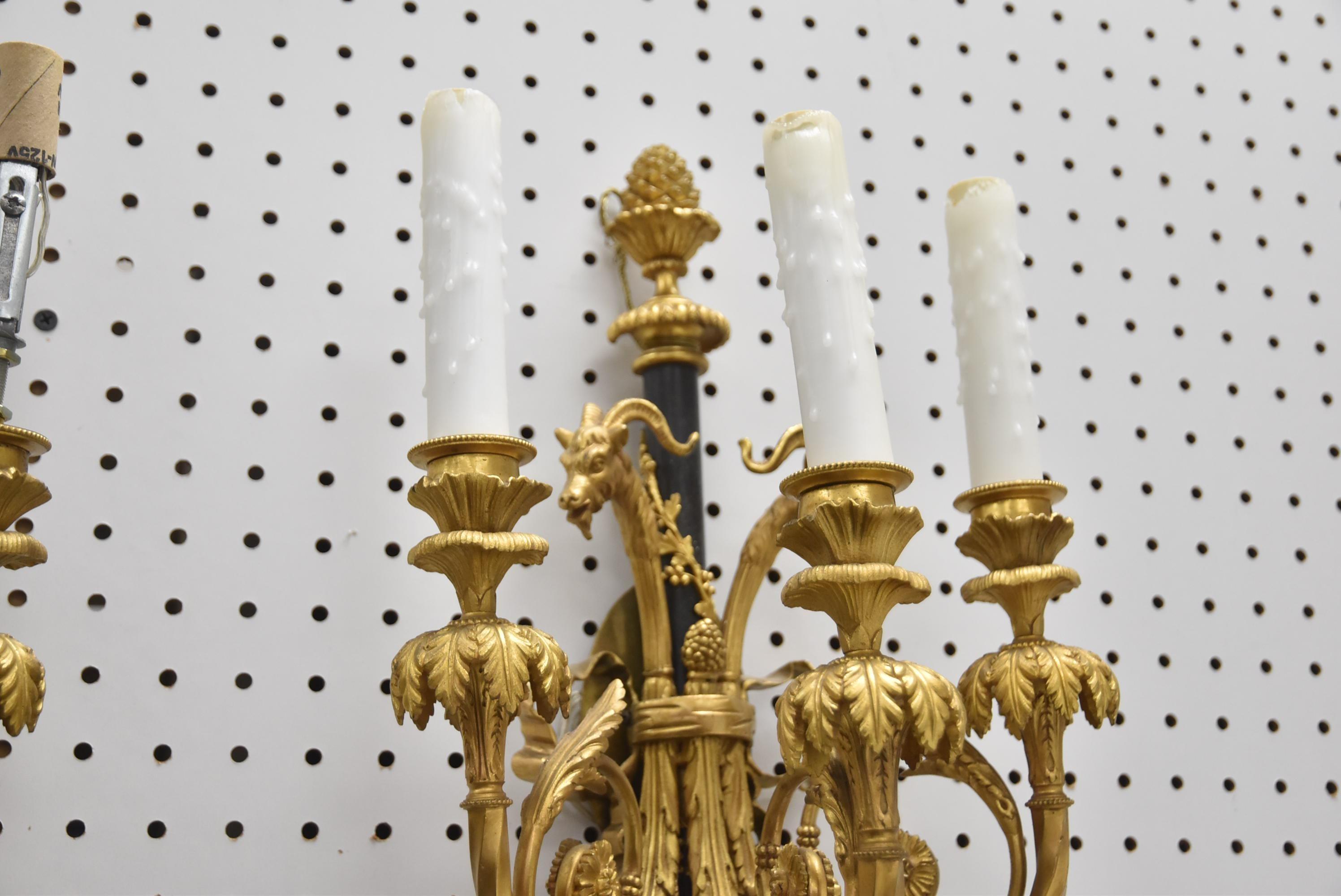 Very Fine Pair of 19th Century French Louis XVI Gilt Bronze Rams Head Sconces For Sale 1