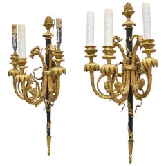 Very Fine Pair of 19th Century French Louis XVI Gilt Bronze Rams Head Sconces