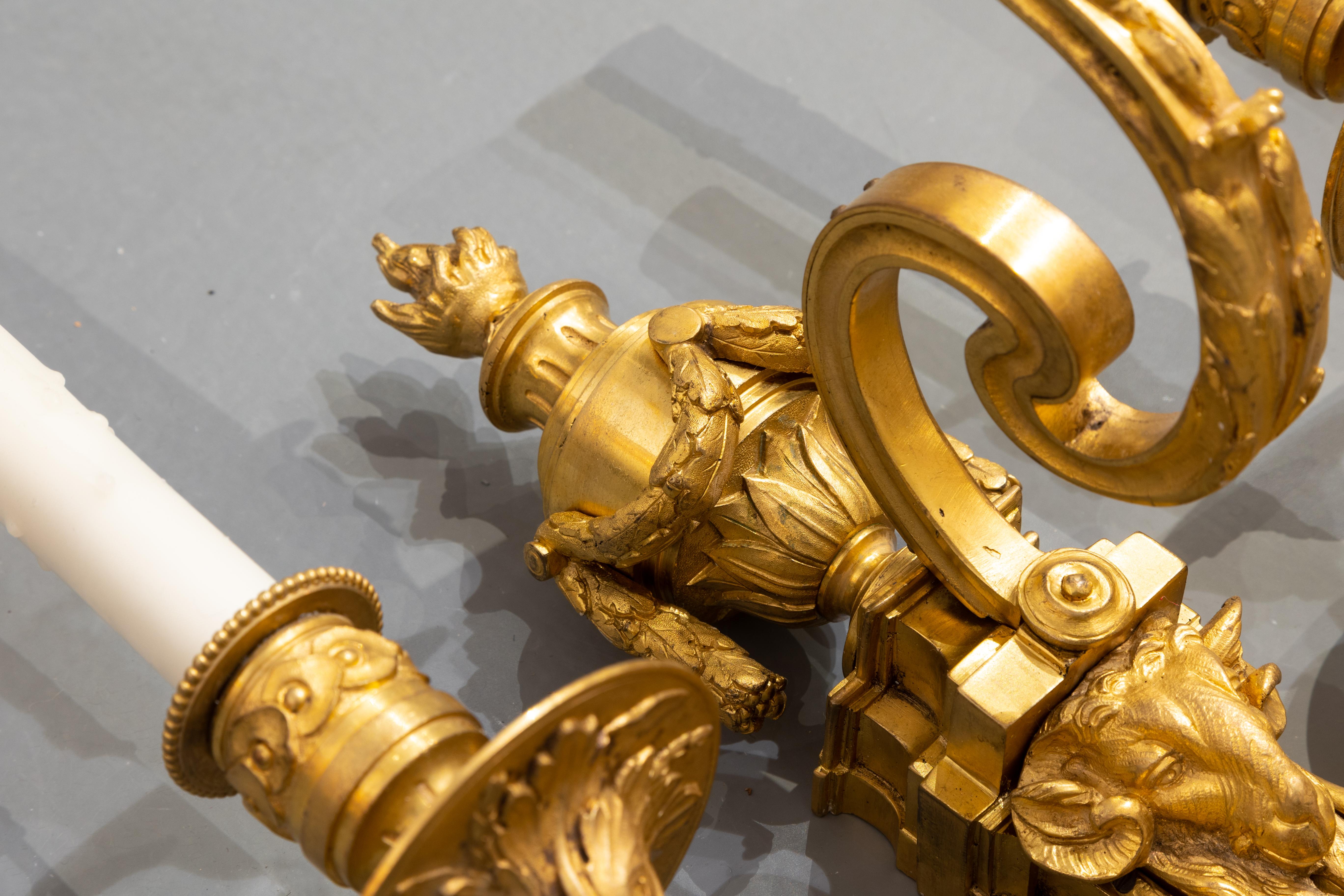 Very Fine Pair of 19th Century French Louis XVI Gilt Bronze Sconces For Sale 2