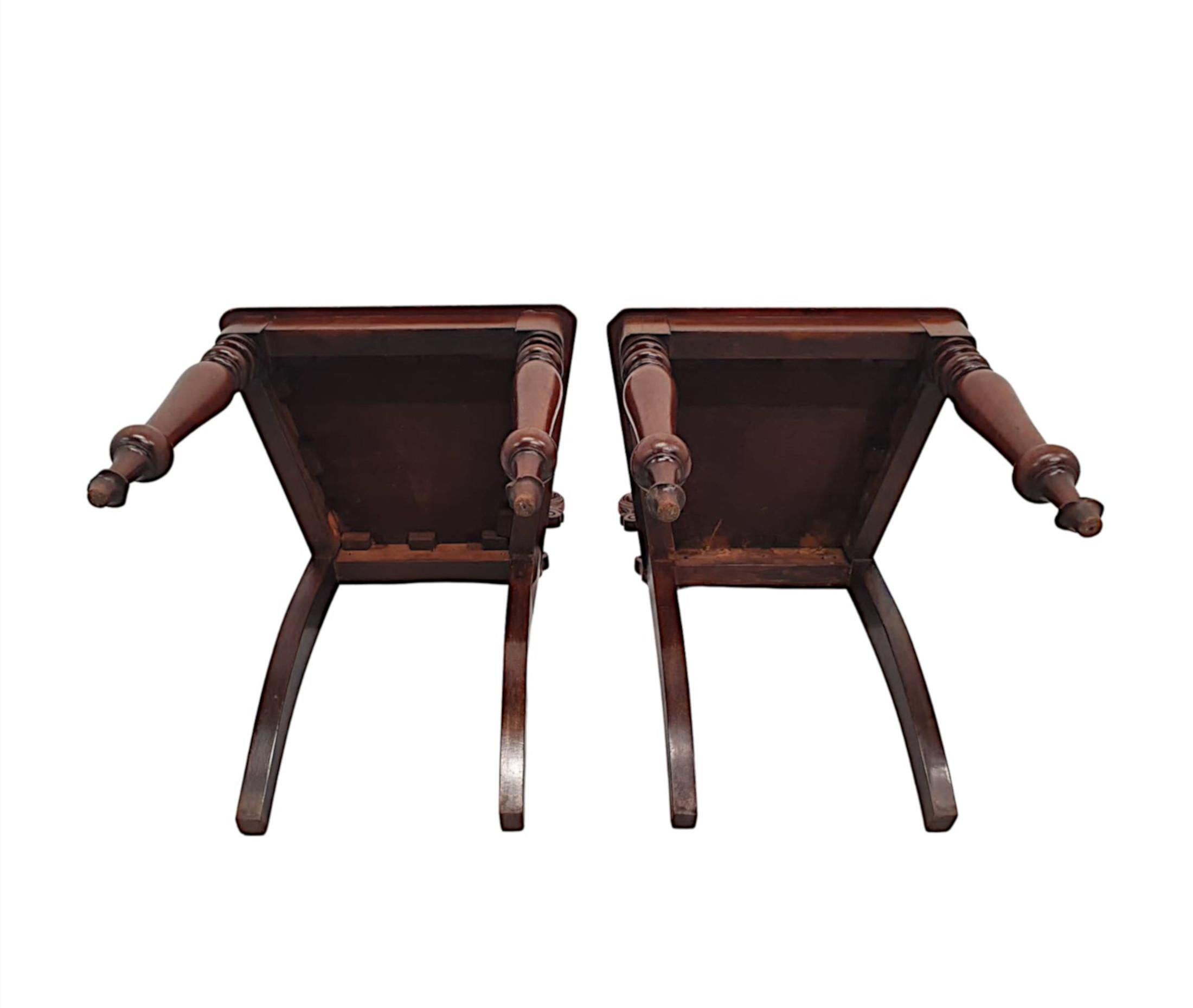 Mahogany A Very Fine Pair of 19th Century Hall Chairs For Sale
