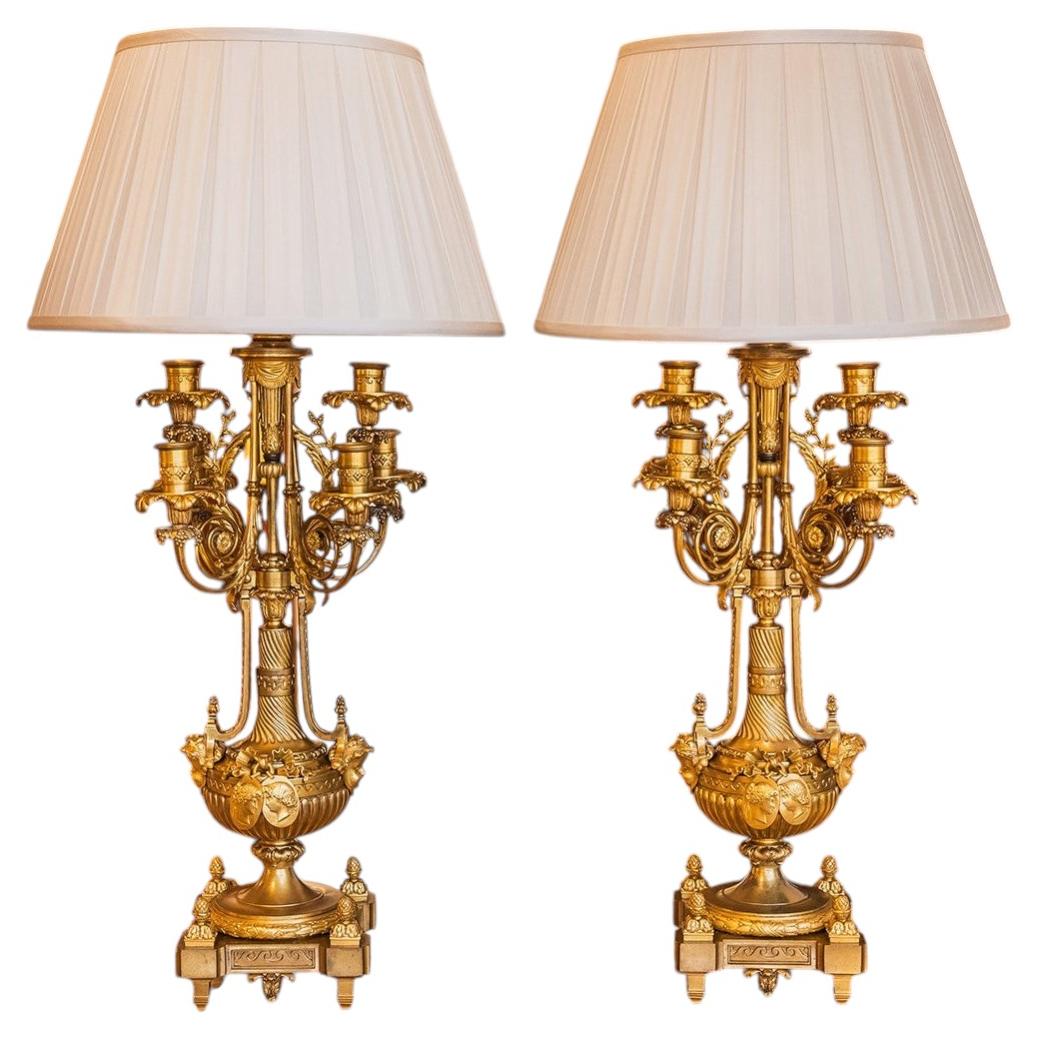 A very fine pair of French gilt bronze mounted lamps