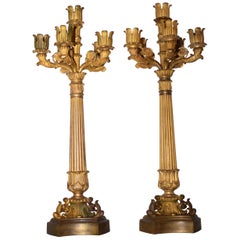 Coppia di candelabri in bronzo dorato molto raffinata