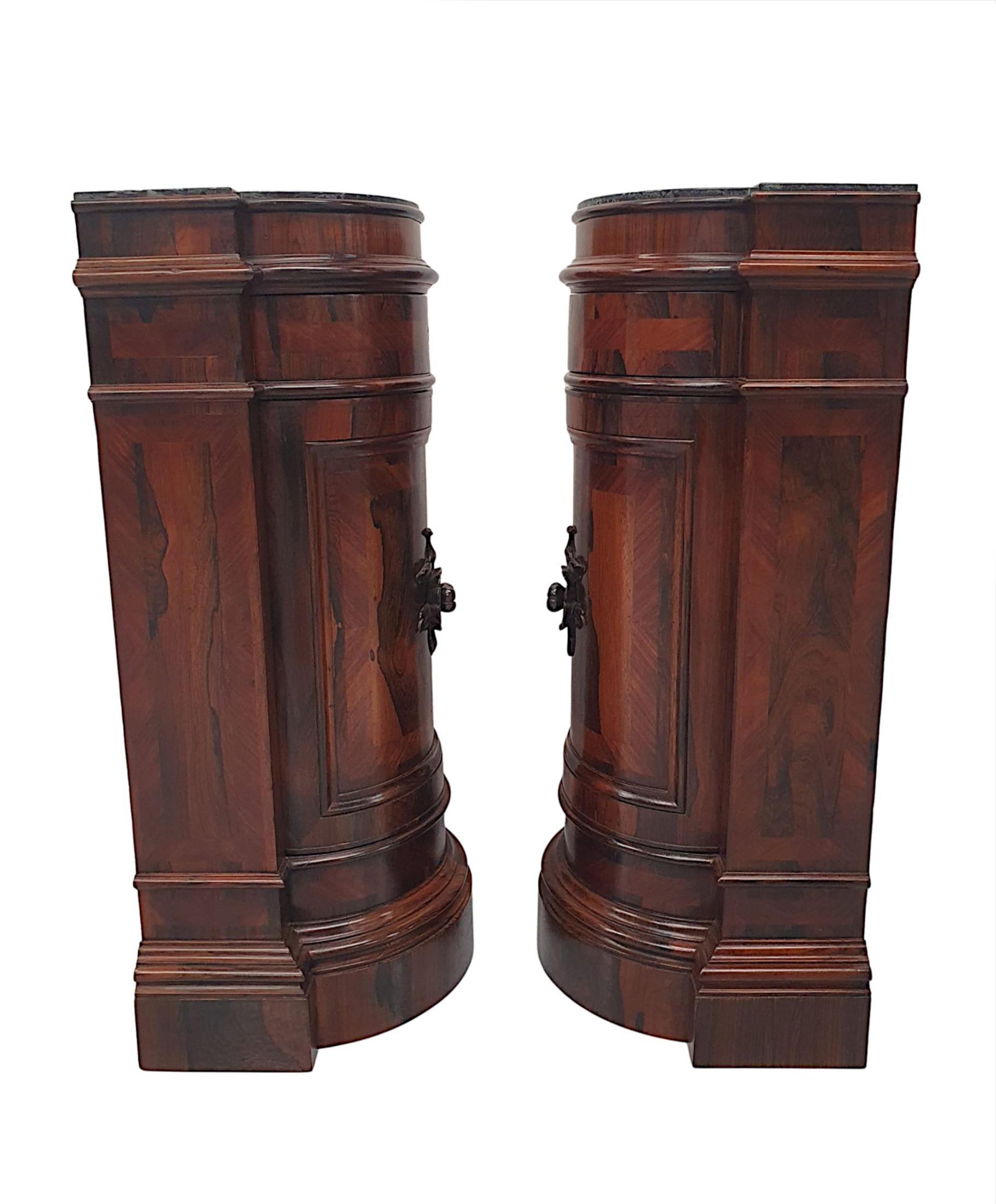 Very Fine Pair of Late 19th Century Marble Top Plinths or Side Cabinets For Sale 2