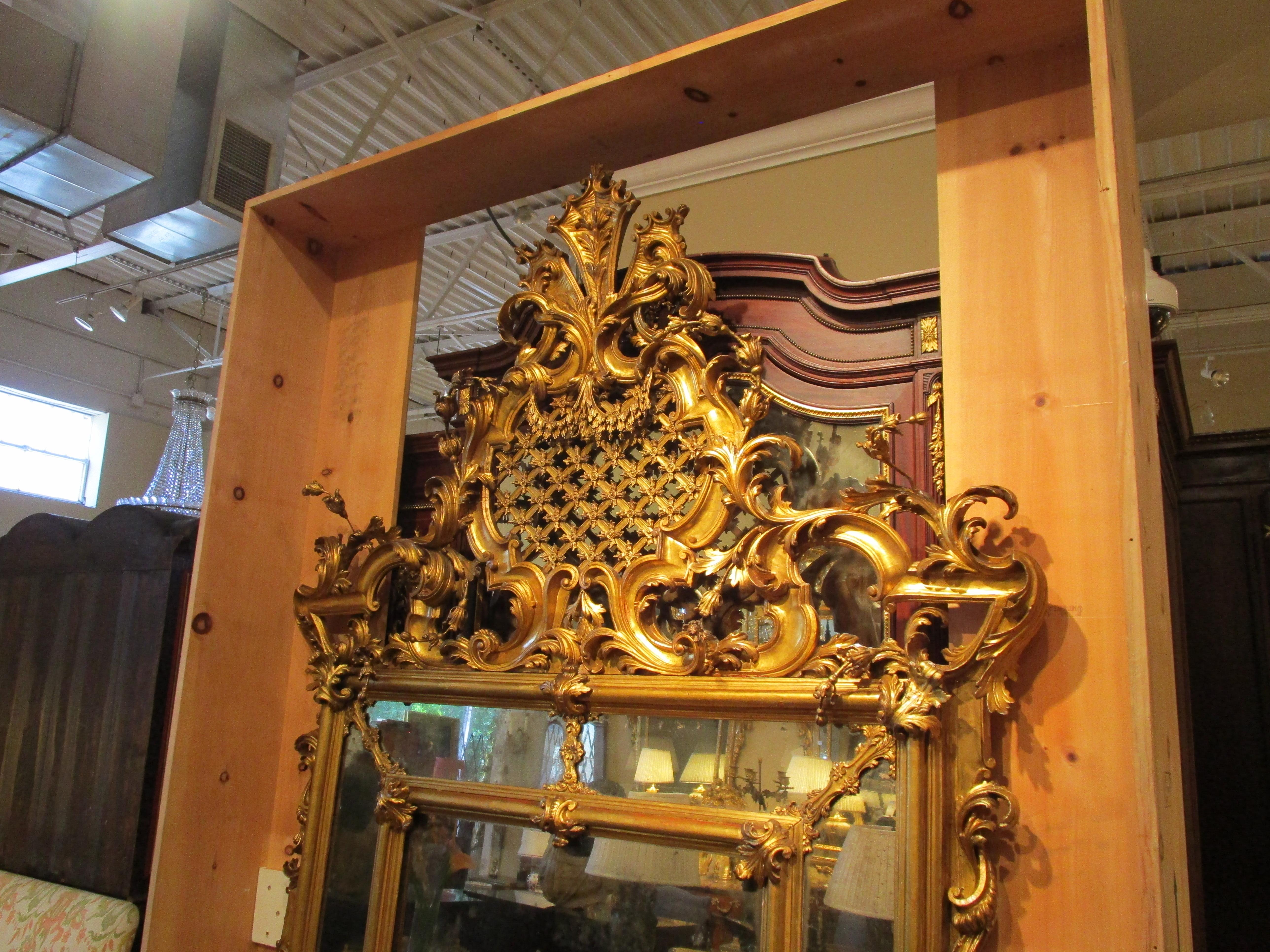 Hand-Carved A very fine Palatial 18th century French Louis XV gilt mirror For Sale