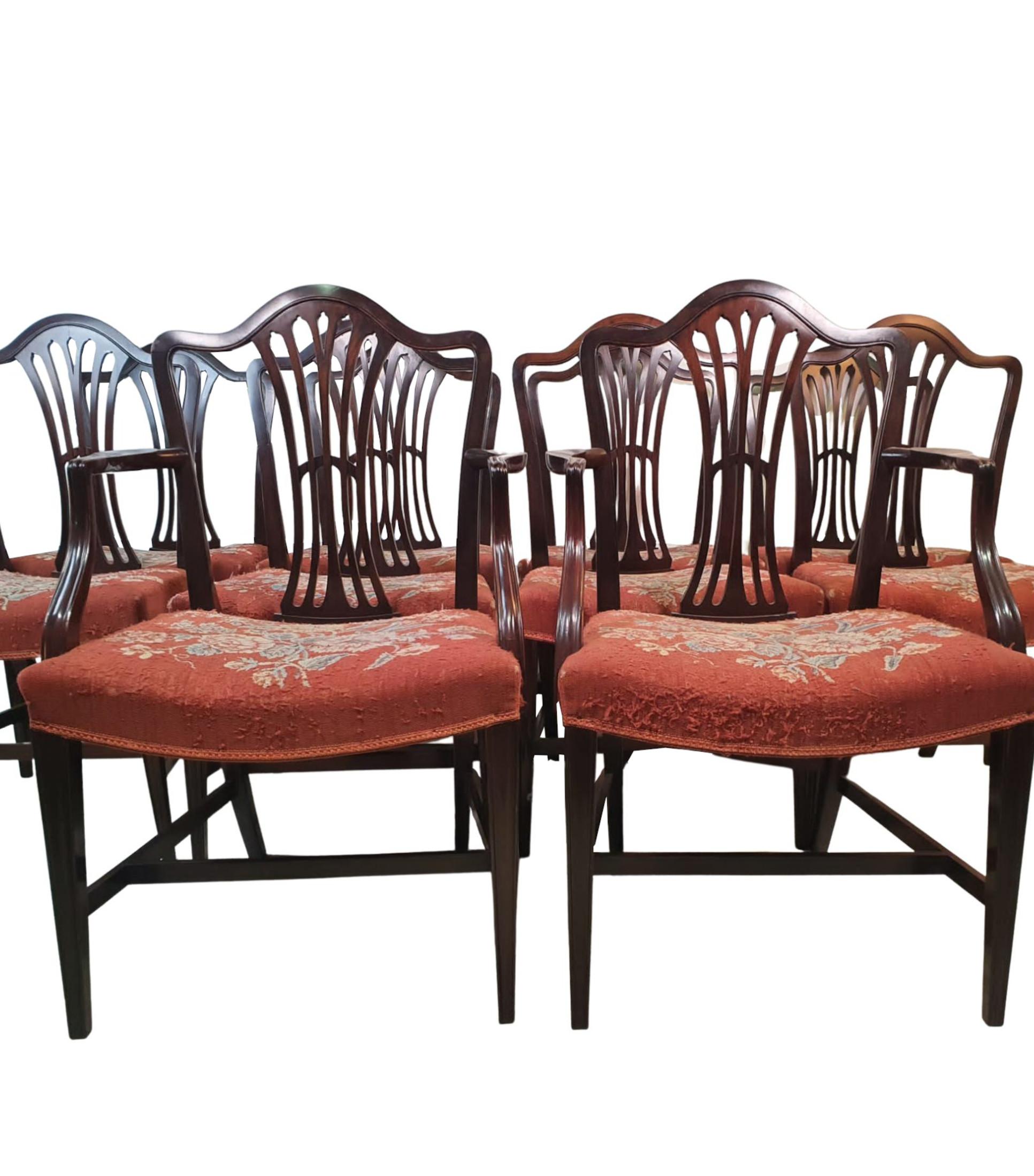 A very fine set of ten early 1900's mahogany dining chairs, comprising of two carvers and eight single chairs. The serpentine back rail raised over pierced splat flanked with curved and moulded arms. Raised over embroidered tapestry seat with