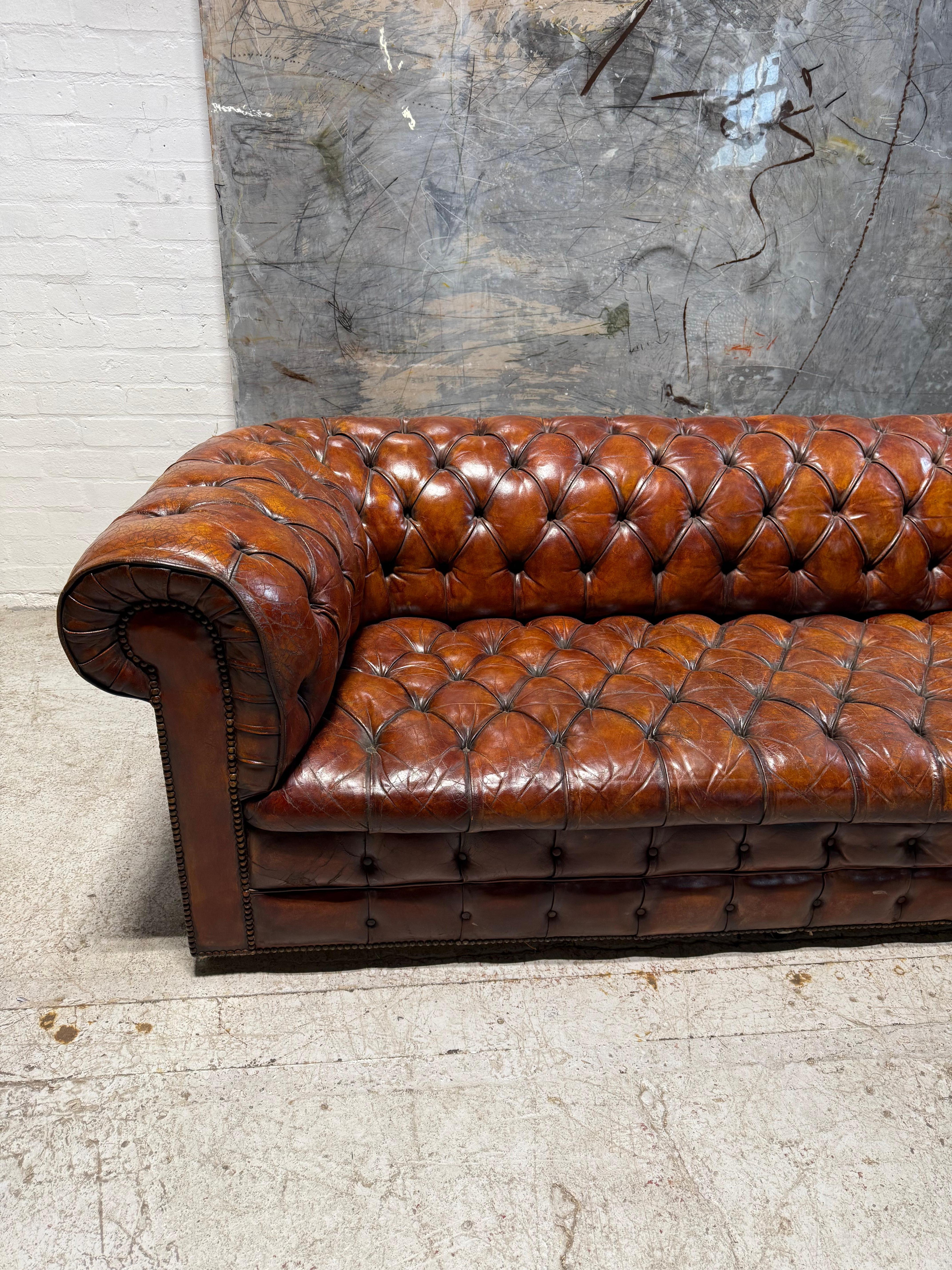 A Very Good MidC Hand Dyed Leather Chesterfield Sofa - Horse Hair Filled For Sale 1