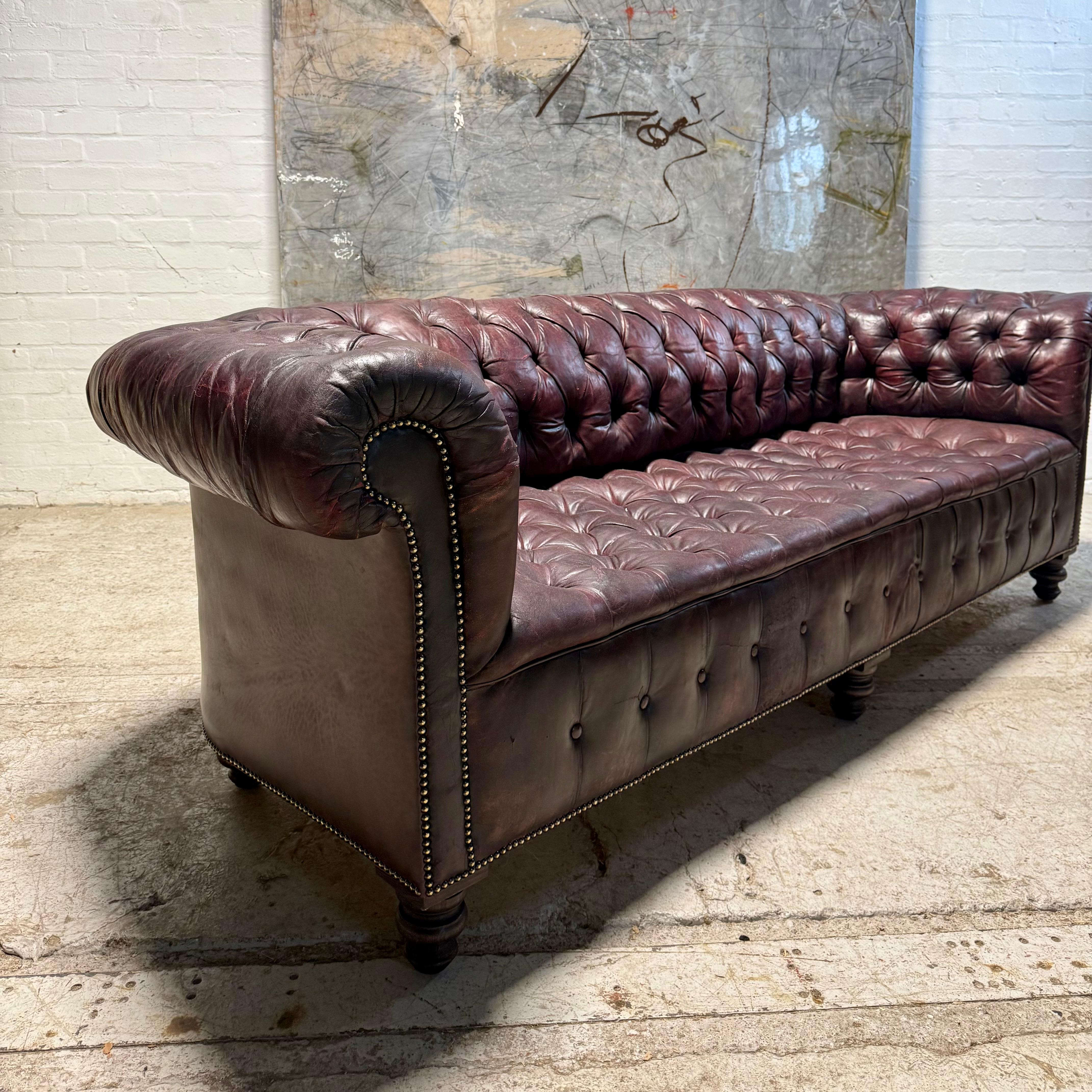 Britannico Divano Chesterfield in pelle tinta a mano - circa 1900 - riempito di pelo di cavallo in vendita