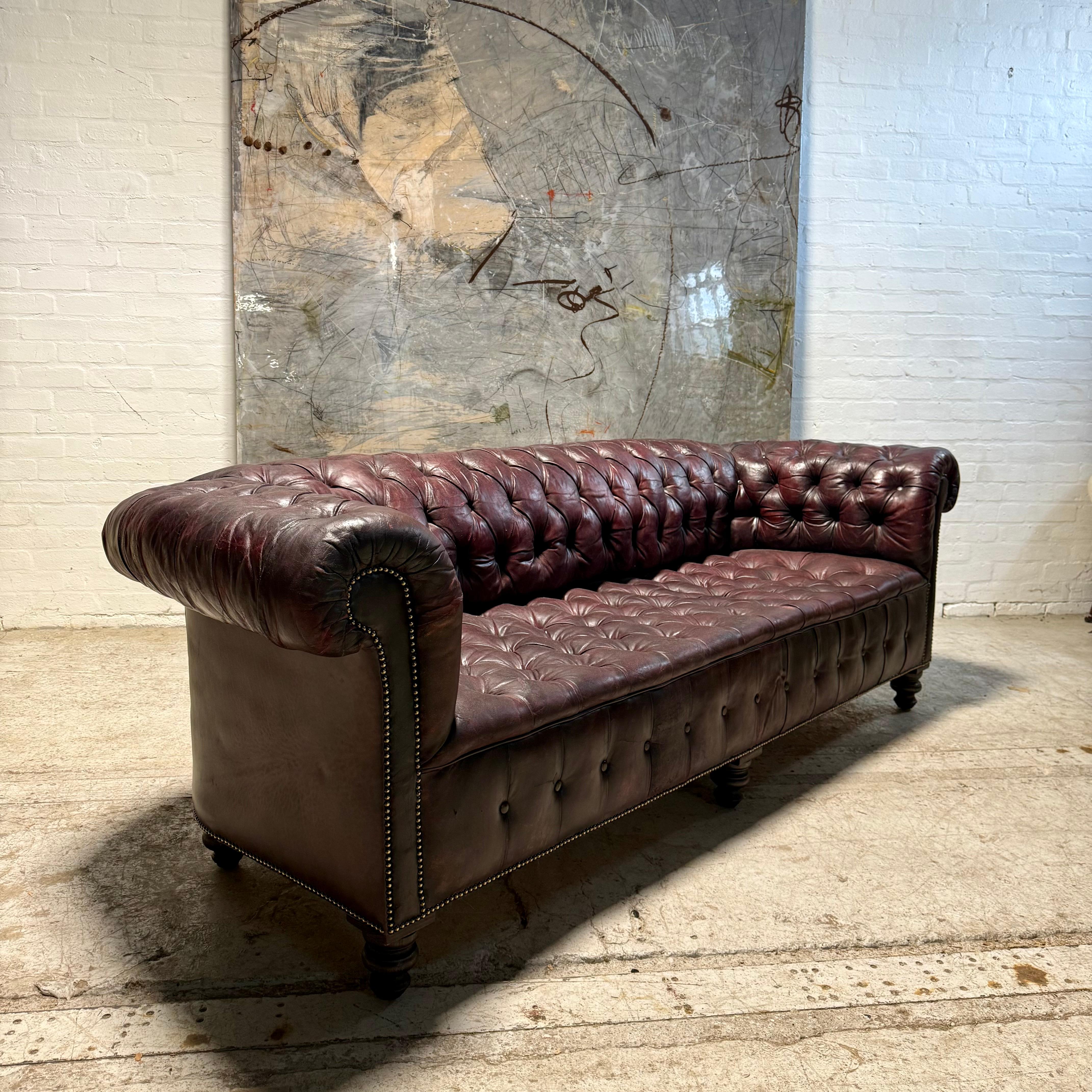 Divano Chesterfield in pelle tinta a mano - circa 1900 - riempito di pelo di cavallo in vendita 1