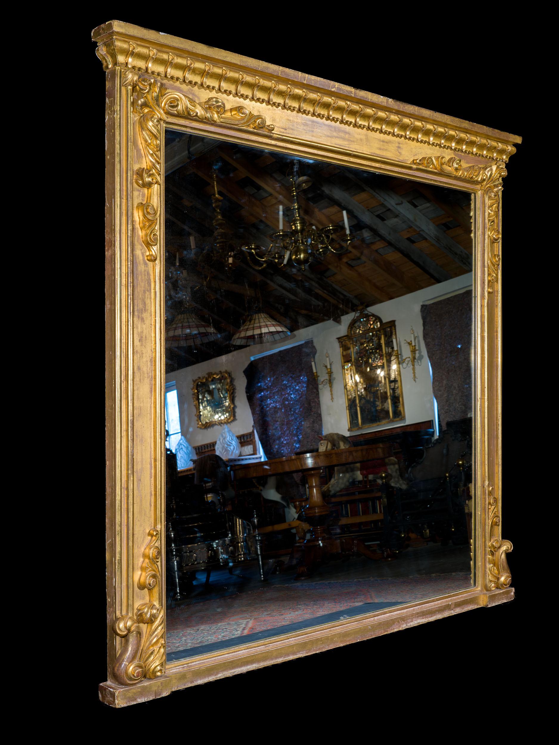 A fine and exceptionally large George IV giltwood overmantel mirror. The water gilded frame is enriched with deeply carved stylised scrolling foliage and simple half round mouldings, all set below the boldly carved cornice. The gilded carving is
