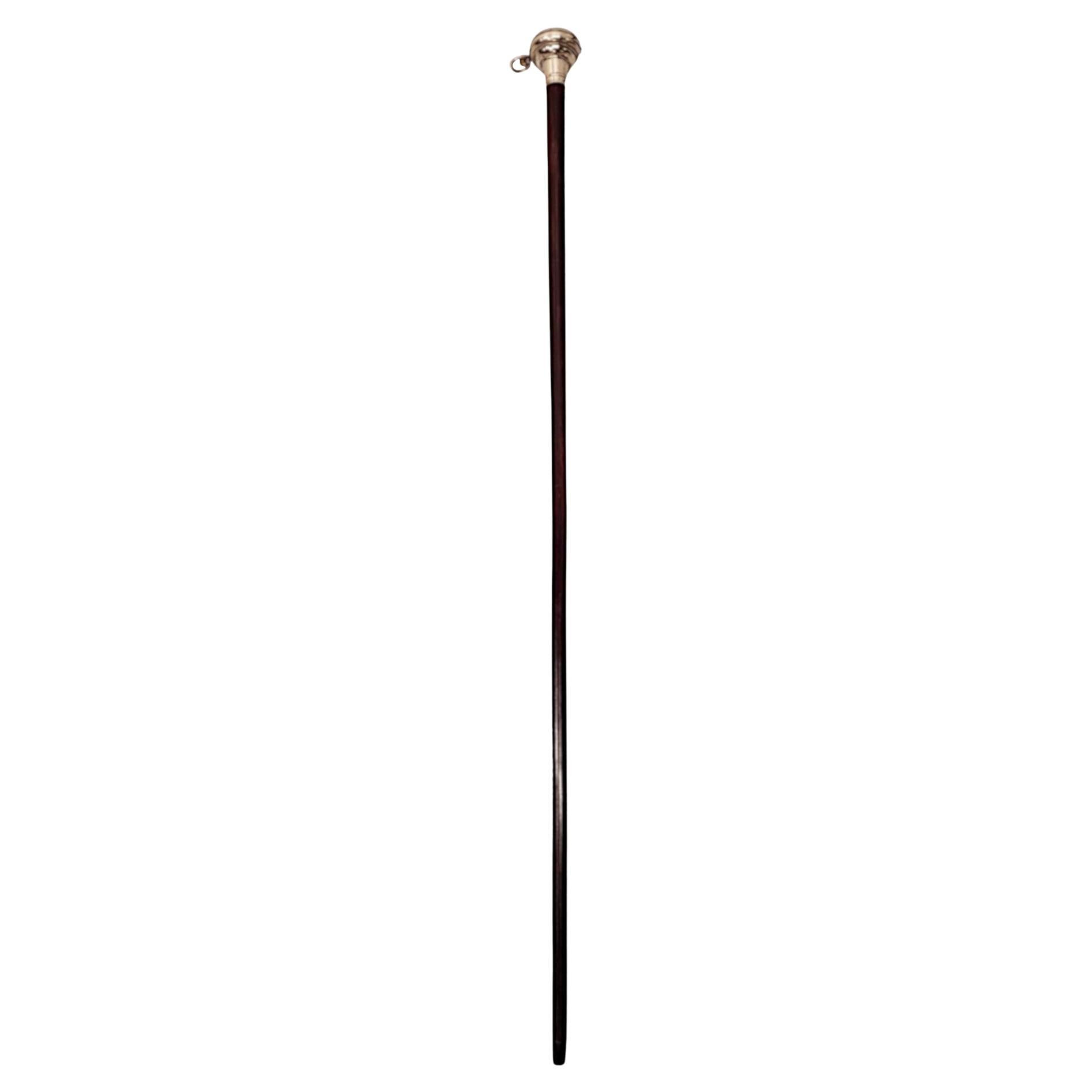 A Very Rare 19th Century Silver Watch Walking Stick For Sale