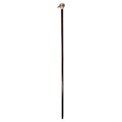 A Very Rare 19th Century Silver Watch Walking Stick