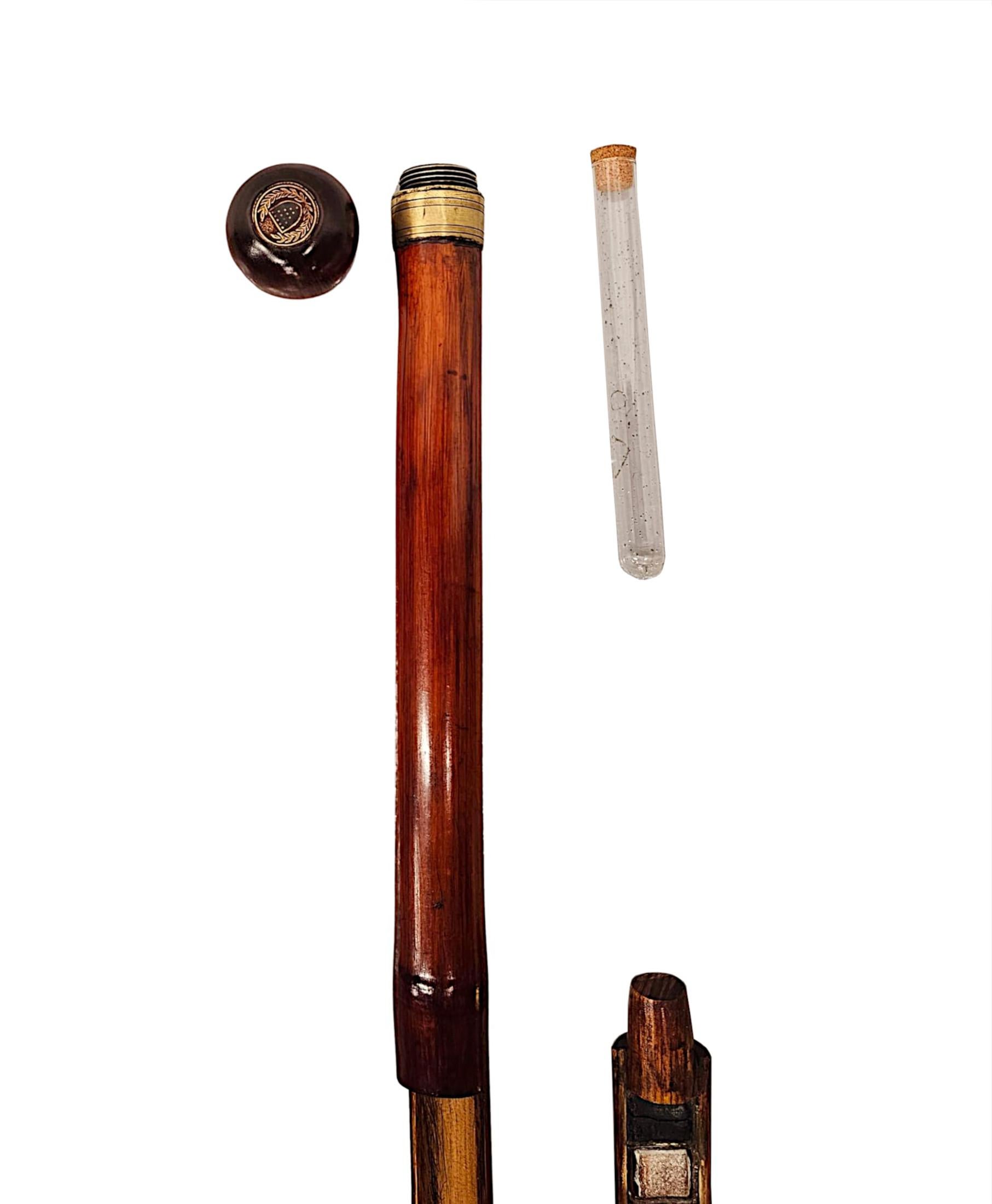 XIXe siècle Très rare canne de marche du 19e siècle avec aquarelles et pinceaux en vente