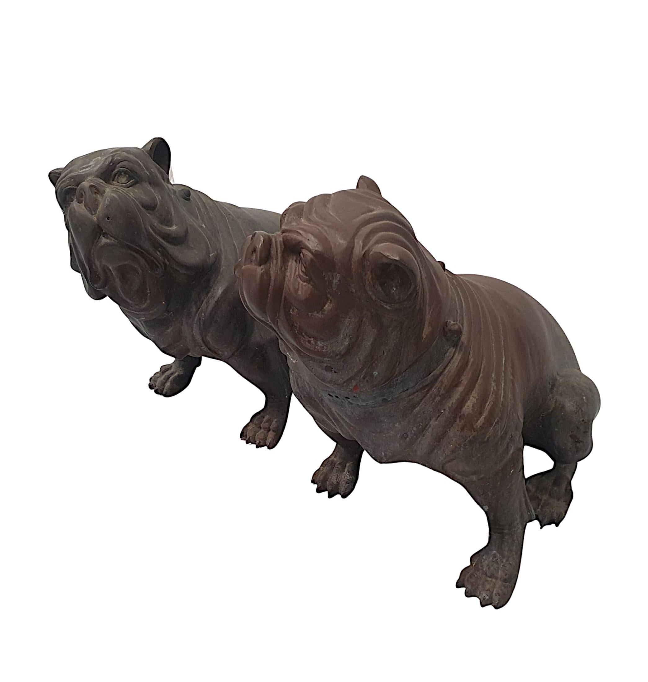 Une paire de sculptures originales très rares du début du 20ème siècle en bronze animalier représentant une paire de bull dogs, finement moulées avec des détails et une patine étonnants. La paire serait un ajout idéal à un jardin et les deux ont