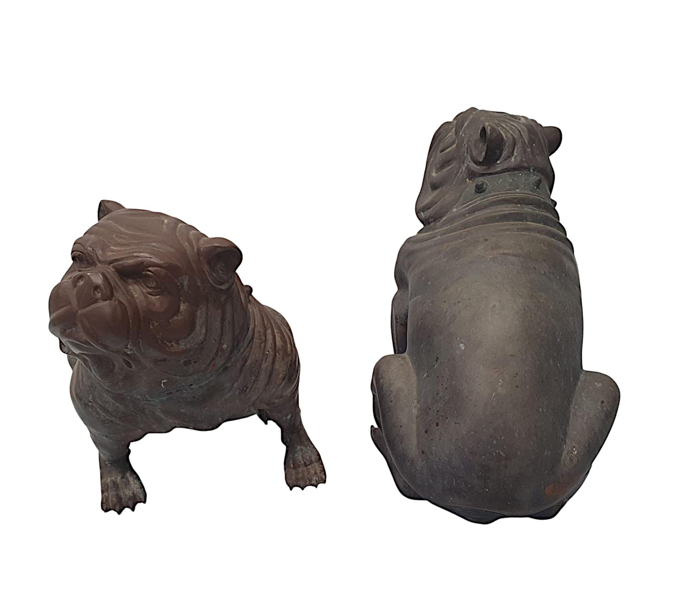20ième siècle Paire de chiens de taureau animaliers en bronze du début du 20e siècle, très rare et raffinée en vente