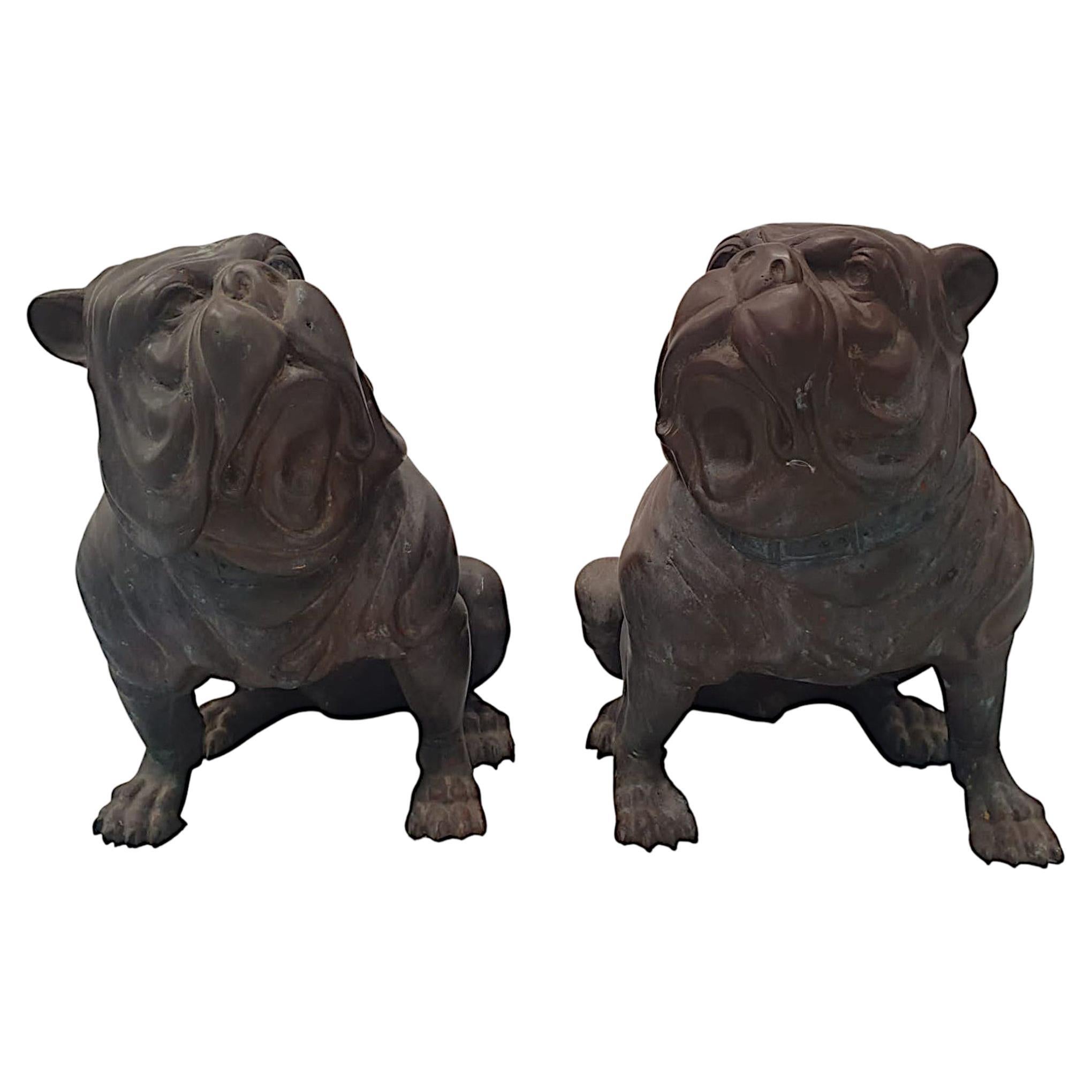 Paire de chiens de taureau animaliers en bronze du début du 20e siècle, très rare et raffinée en vente