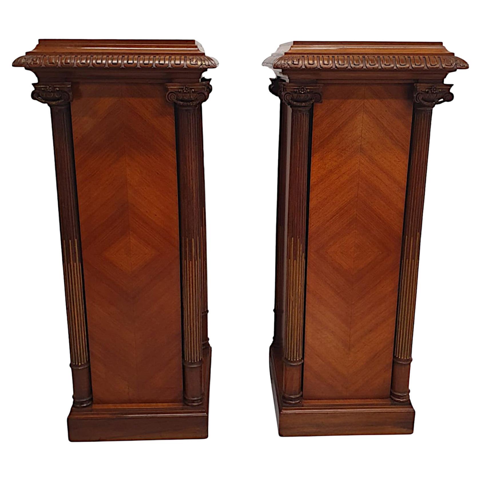  A Very Rare and Fine Pair of 19th Century Bust or Plant Stands  For Sale