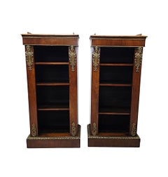 Ein sehr seltenes Paar Bücherschränke aus dem 19. Jahrhundert mit Ormolu-Beschlägen