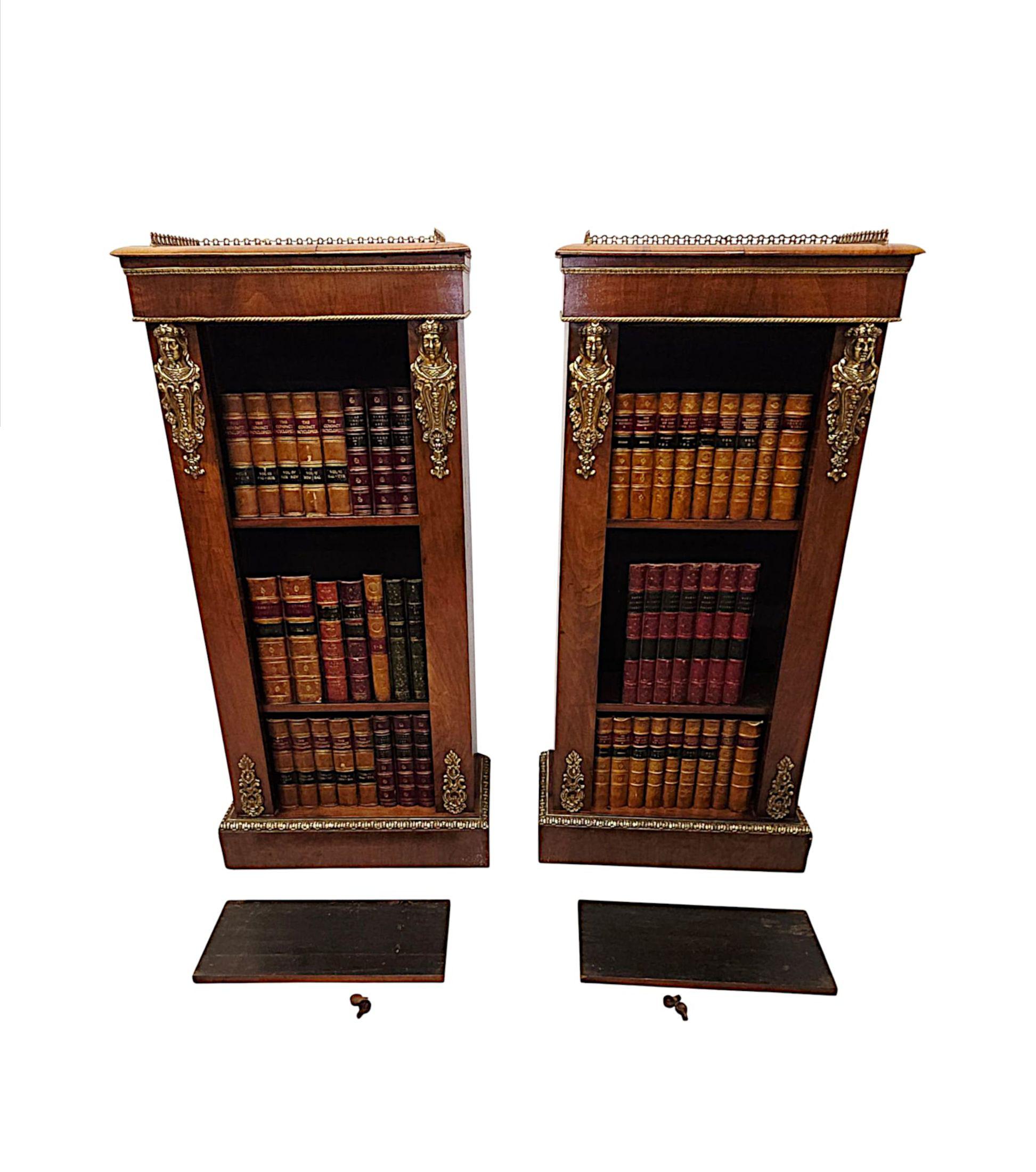 Ein sehr seltenes Paar Bücherschränke aus dem 19. Jahrhundert mit Ormolu-Beschlägen im Angebot 3