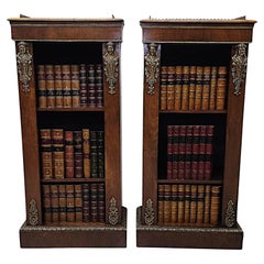Très rare paire de bibliothèques du 19ème siècle avec montures en bronze doré