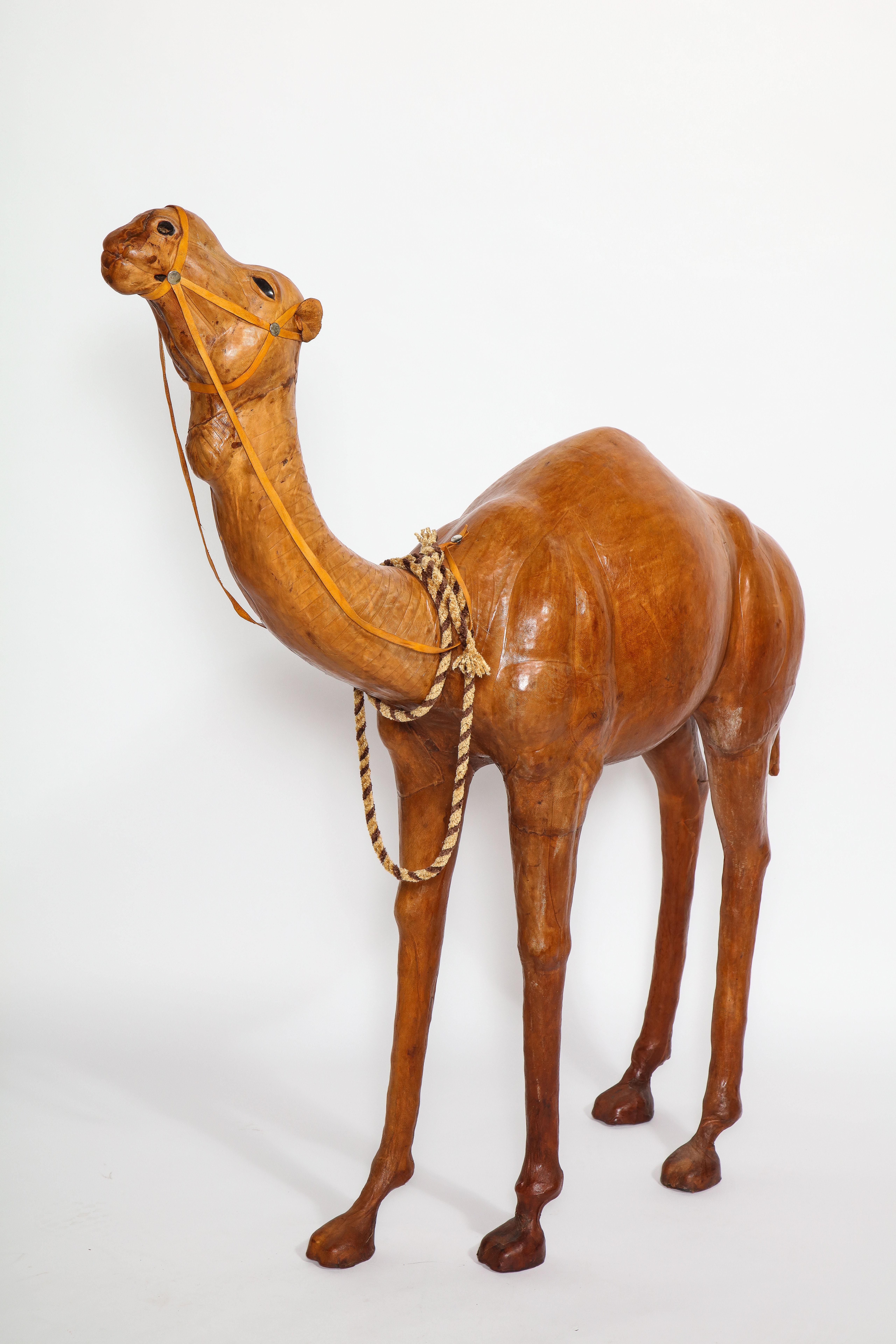 leather camels