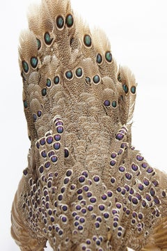 Vibrantly Coloured Peacock Pheasant Wall Mount, 20th Century