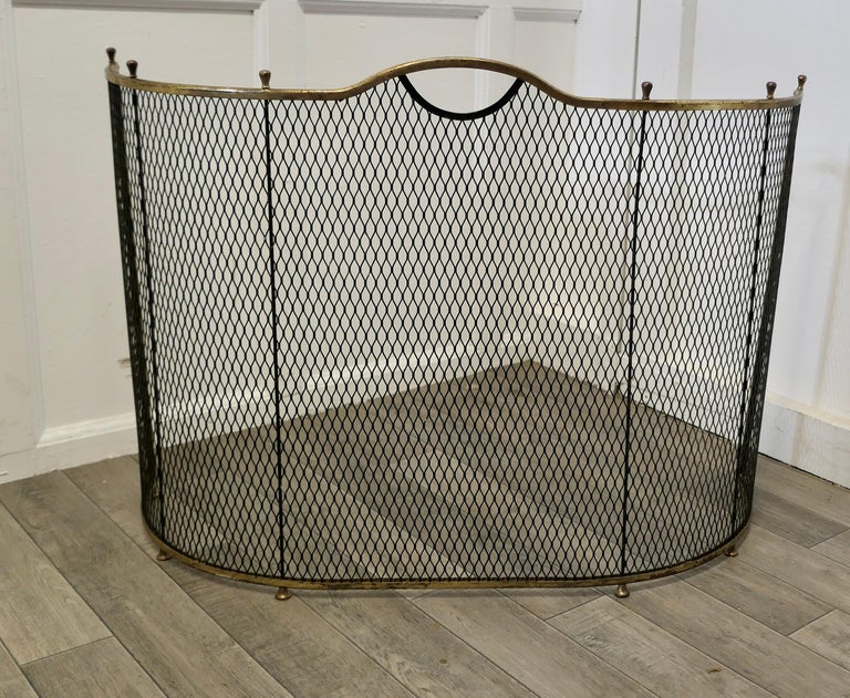 Victorian Curved Brass and Iron Nursery Fire Guard at 1stDibs