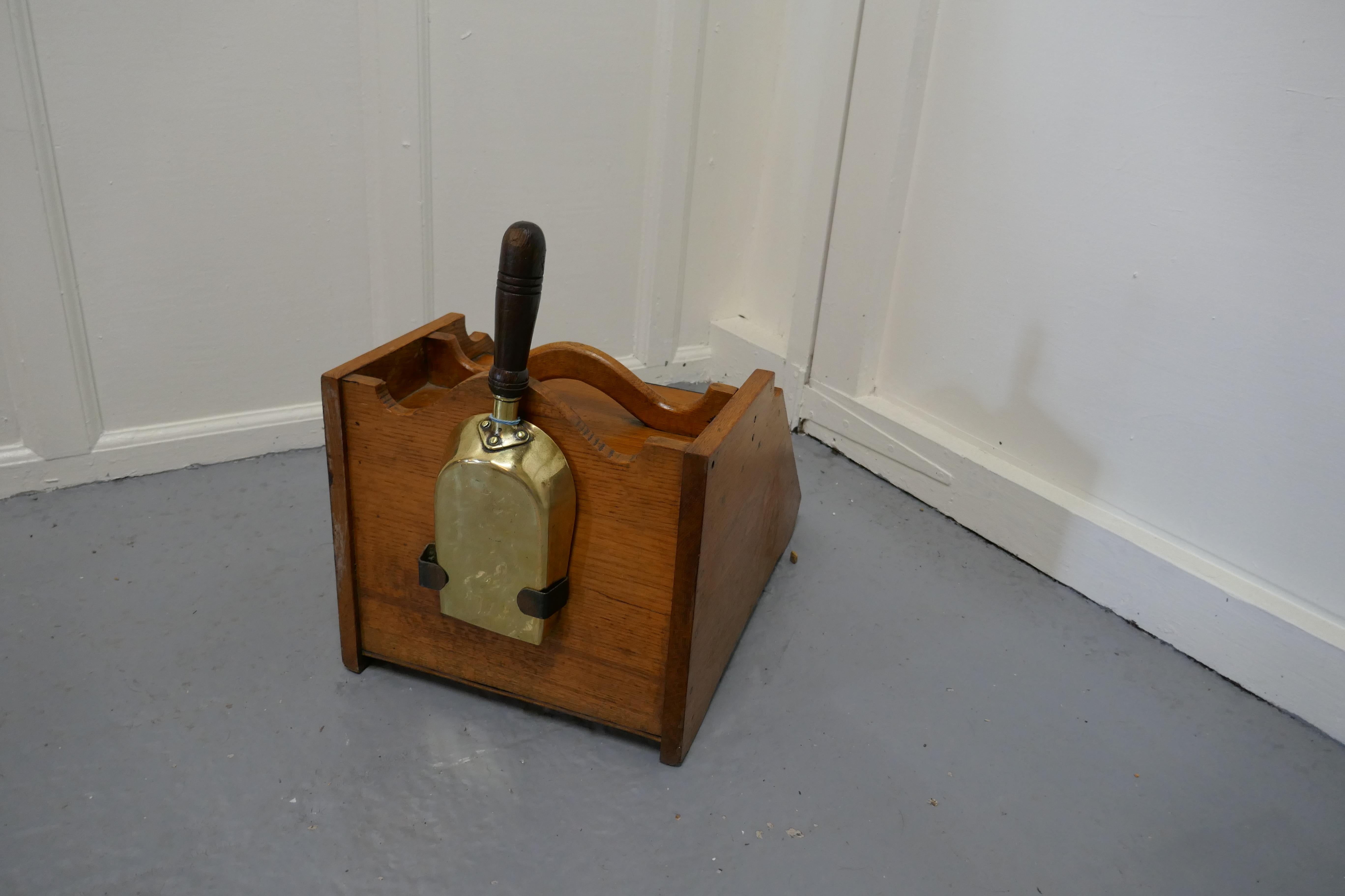 Victorian Golden Ash Coal Box with Liner and Shovel In Good Condition For Sale In Chillerton, Isle of Wight