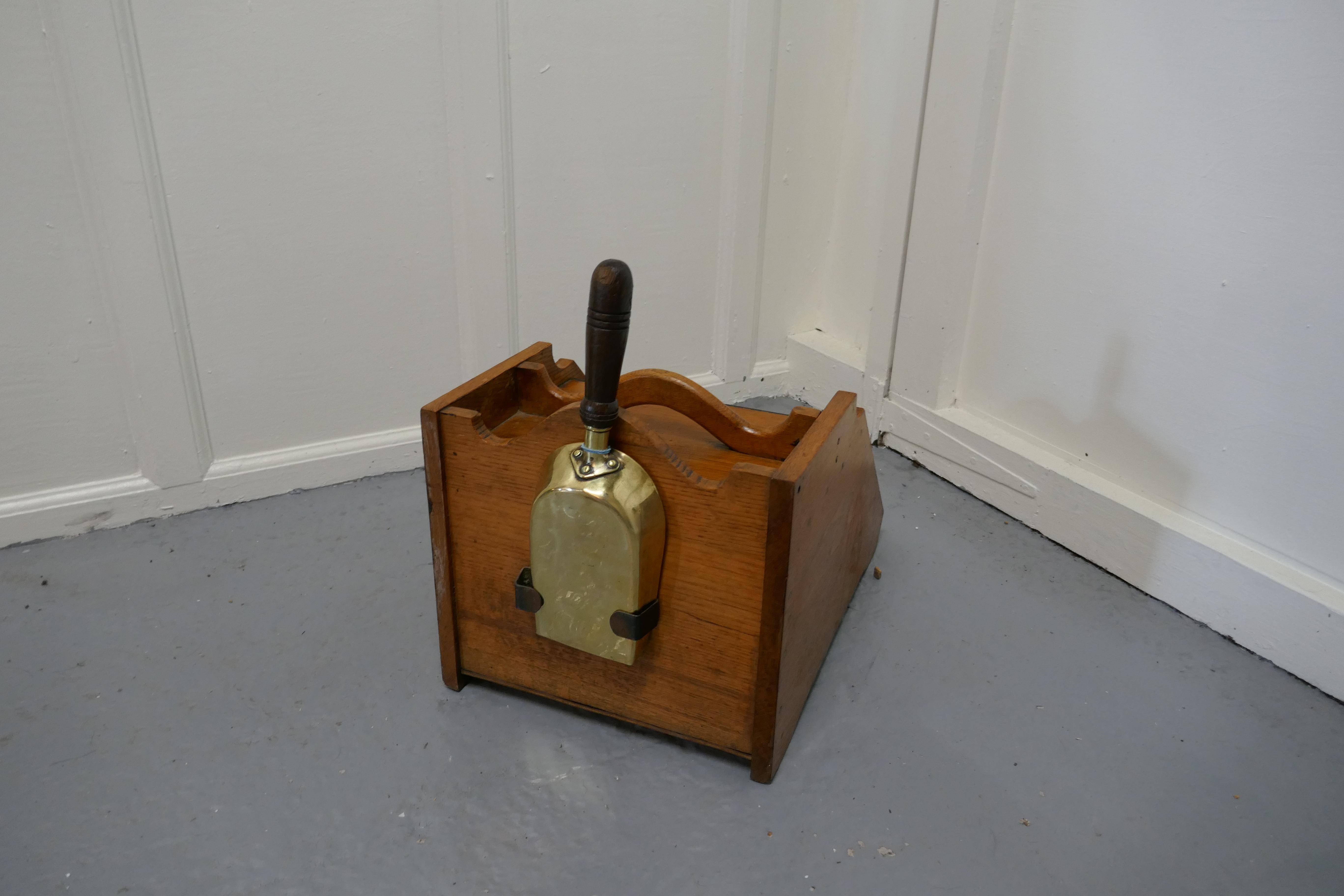 19th Century Victorian Golden Ash Coal Box with Liner and Shovel For Sale