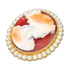Victorian Hardstone Cameo Brooch